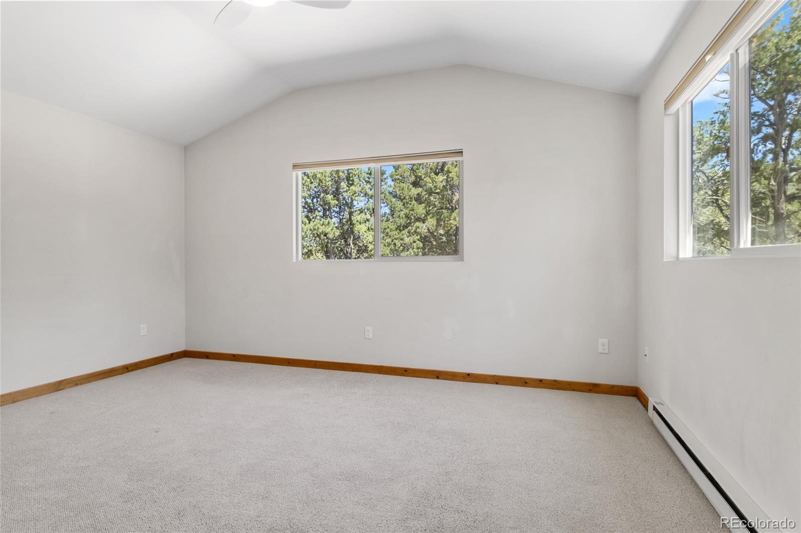MLS Image #22 for 751  rendezvous way,crestone, Colorado