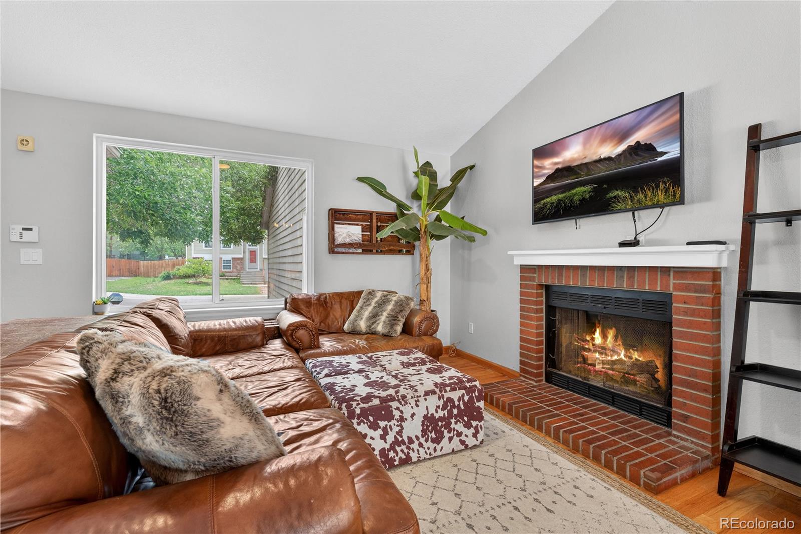 MLS Image #5 for 6282  yank court,arvada, Colorado