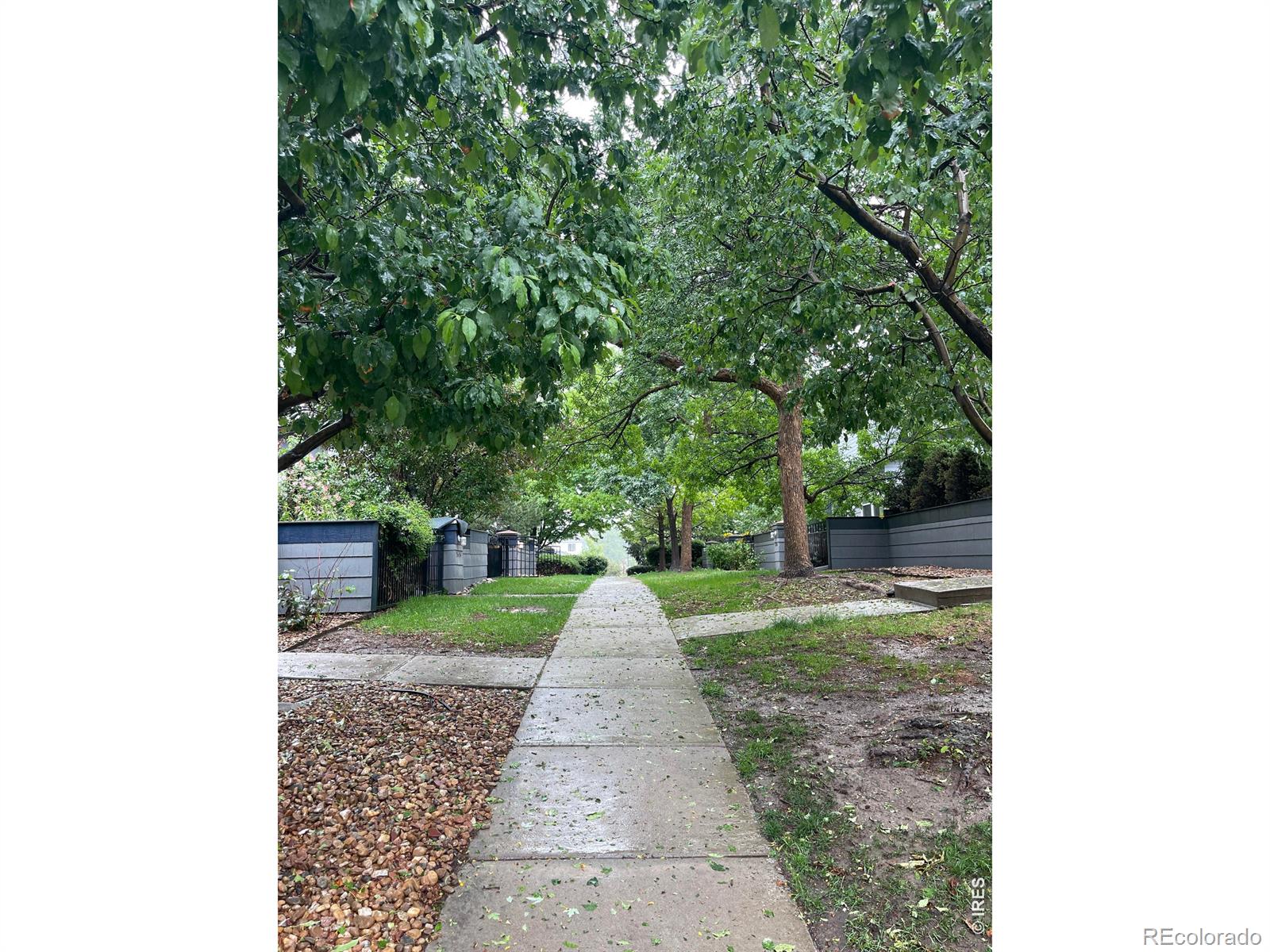 MLS Image #3 for 3632  oakwood drive,longmont, Colorado
