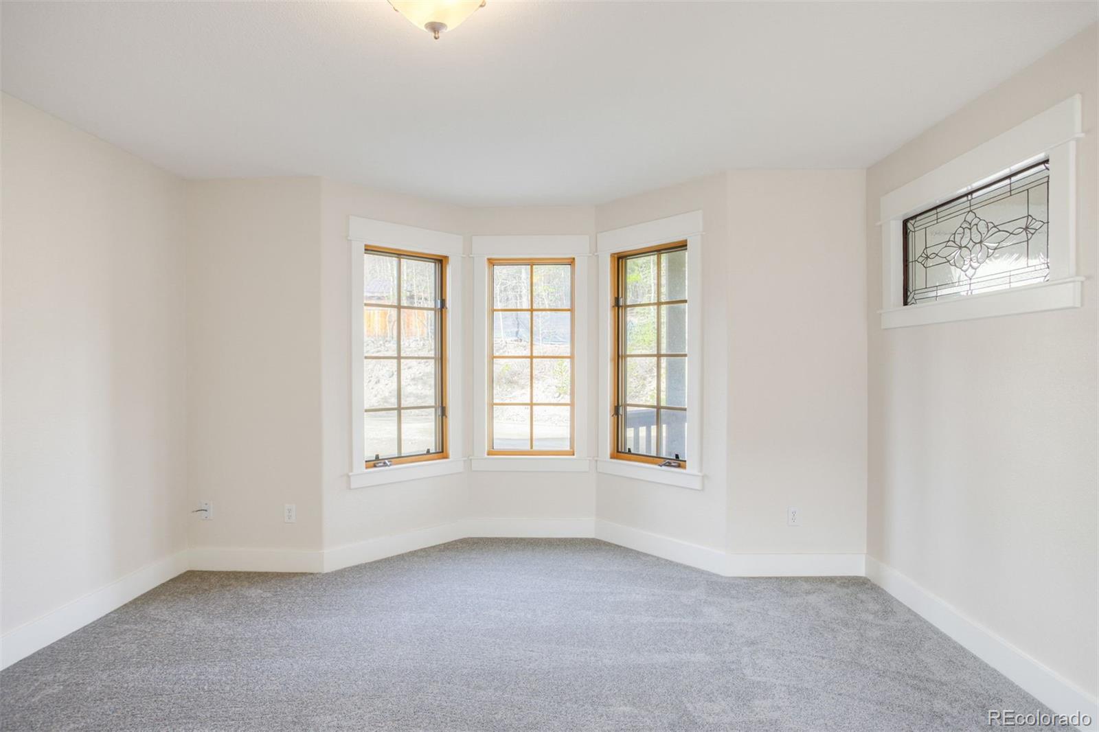 MLS Image #13 for 372 n oak street,alma, Colorado