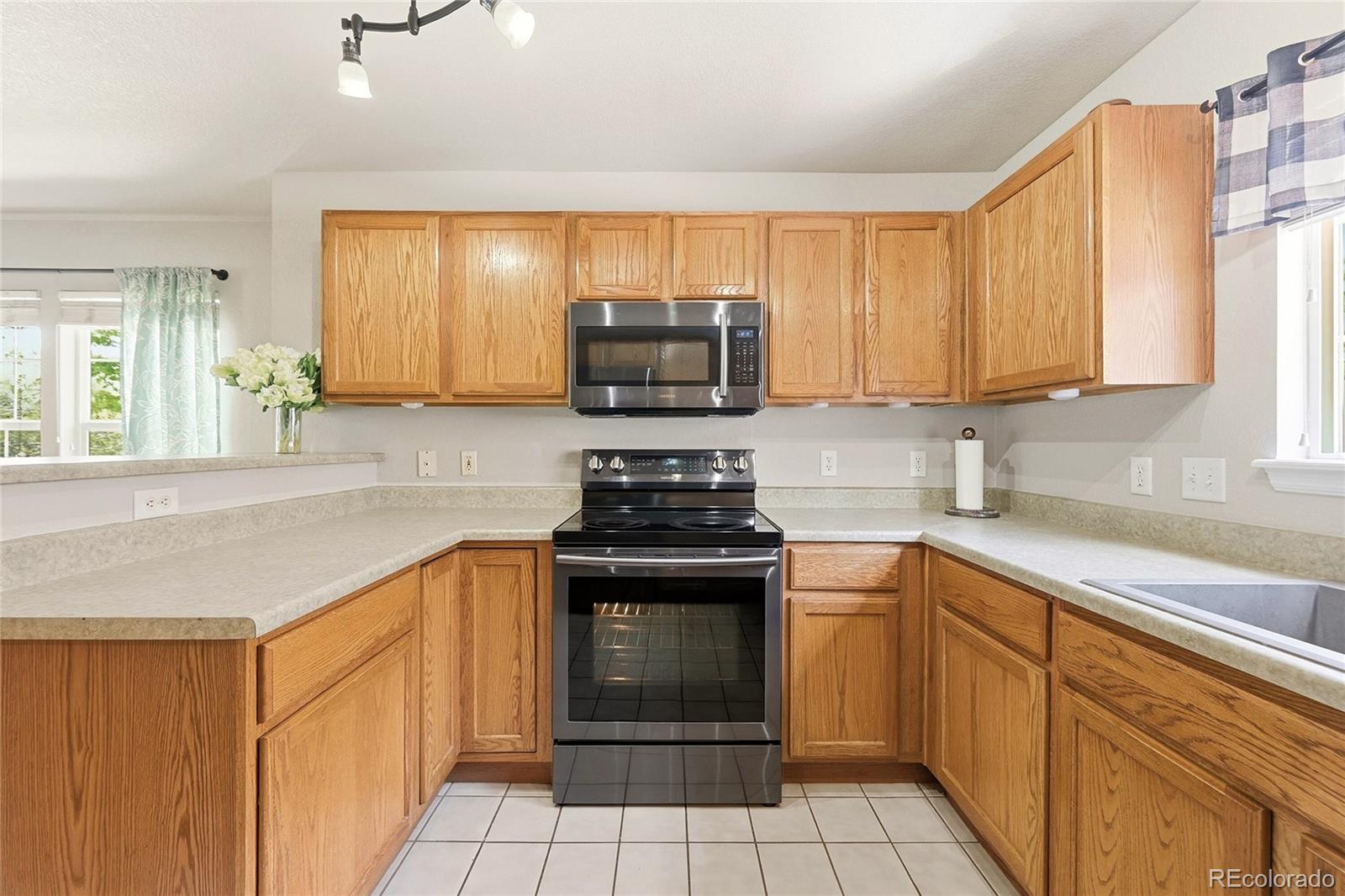 MLS Image #14 for 1471  nemrick place,castle rock, Colorado