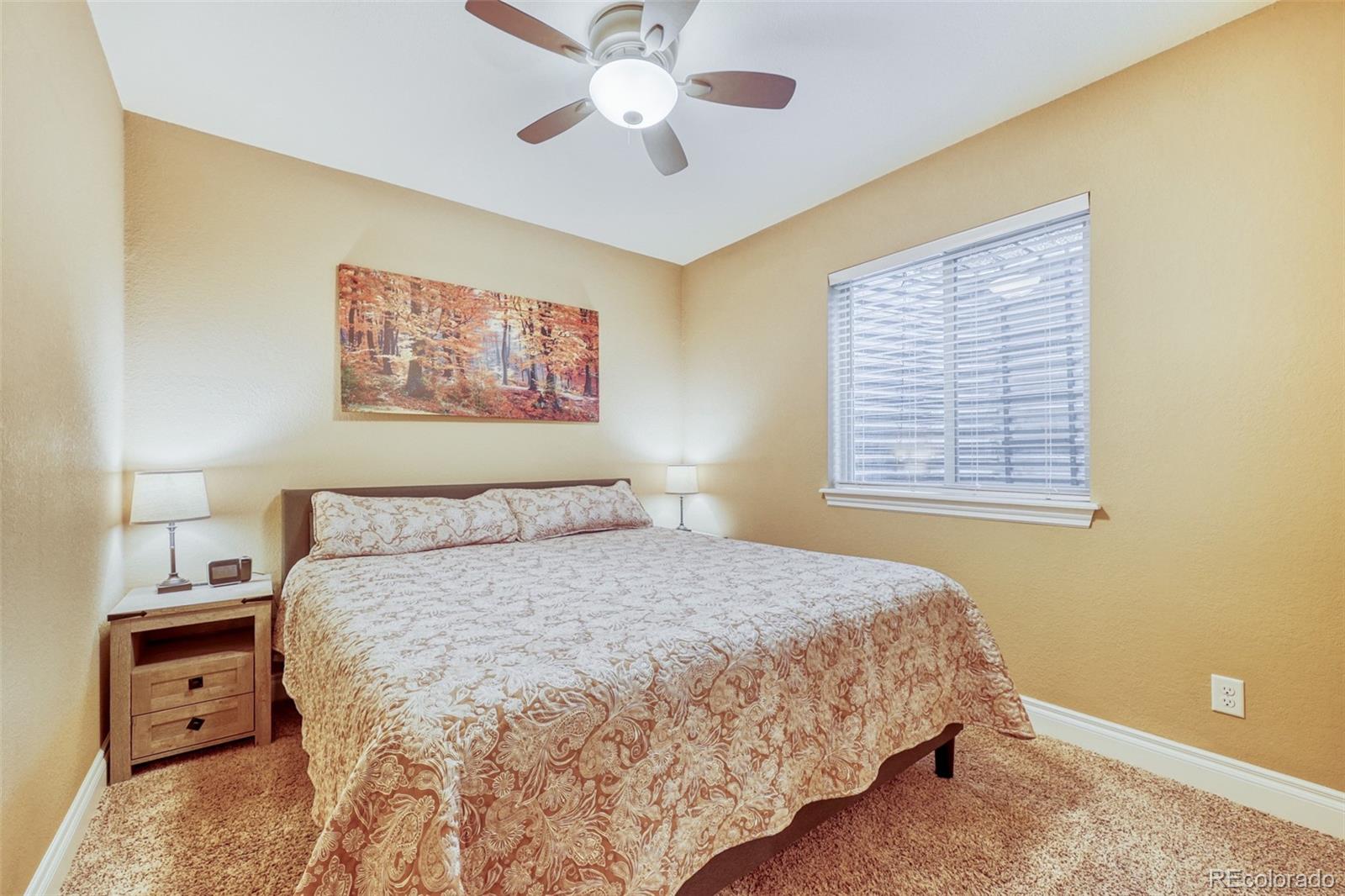 MLS Image #13 for 4237  manorbrier court,castle rock, Colorado