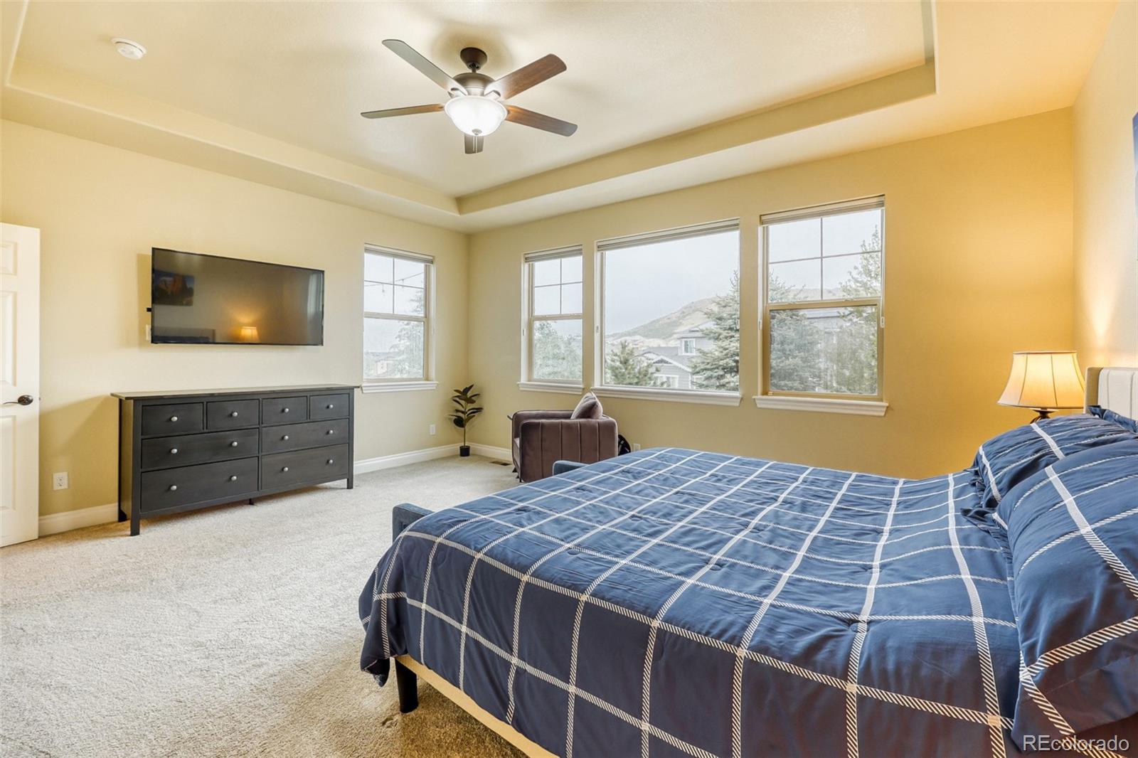 MLS Image #15 for 4237  manorbrier court,castle rock, Colorado