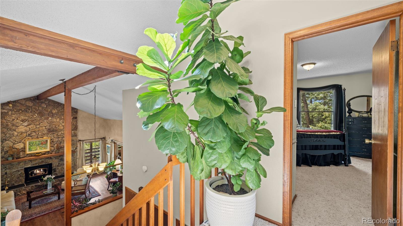MLS Image #22 for 370  high view circle,woodland park, Colorado