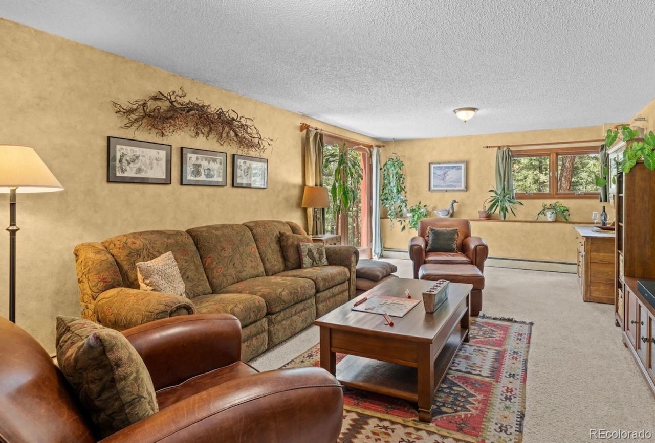 MLS Image #29 for 370  high view circle,woodland park, Colorado