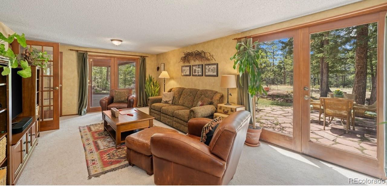 MLS Image #31 for 370  high view circle,woodland park, Colorado