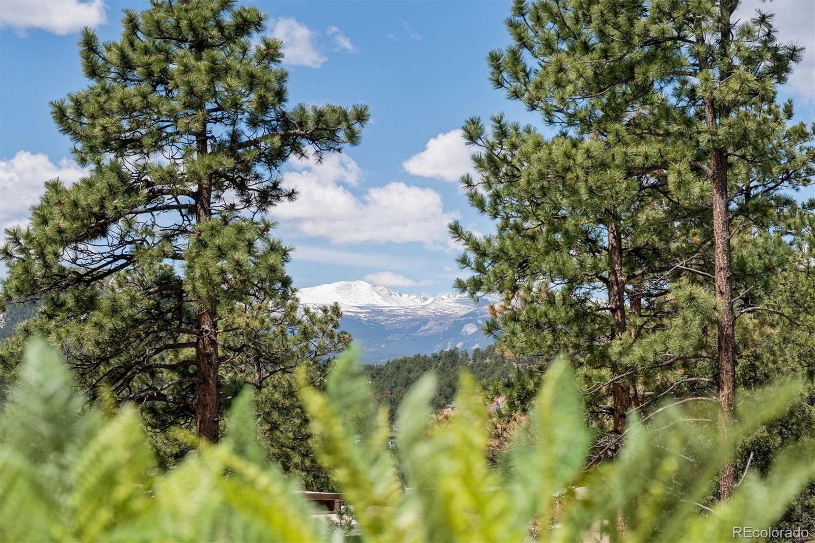 MLS Image #5 for 29033  wild rose drive,evergreen, Colorado