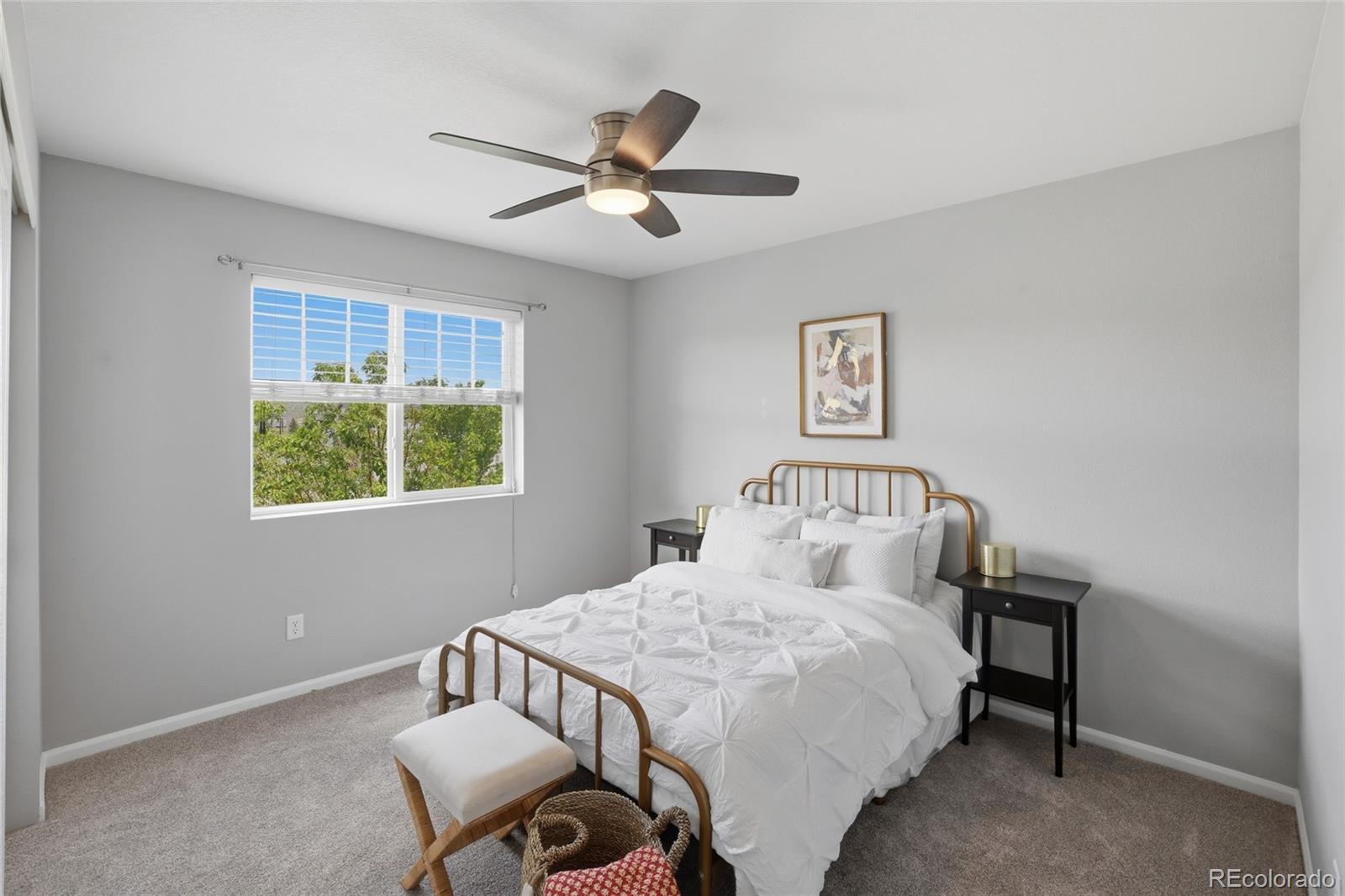 MLS Image #18 for 3788  cadence drive,castle rock, Colorado