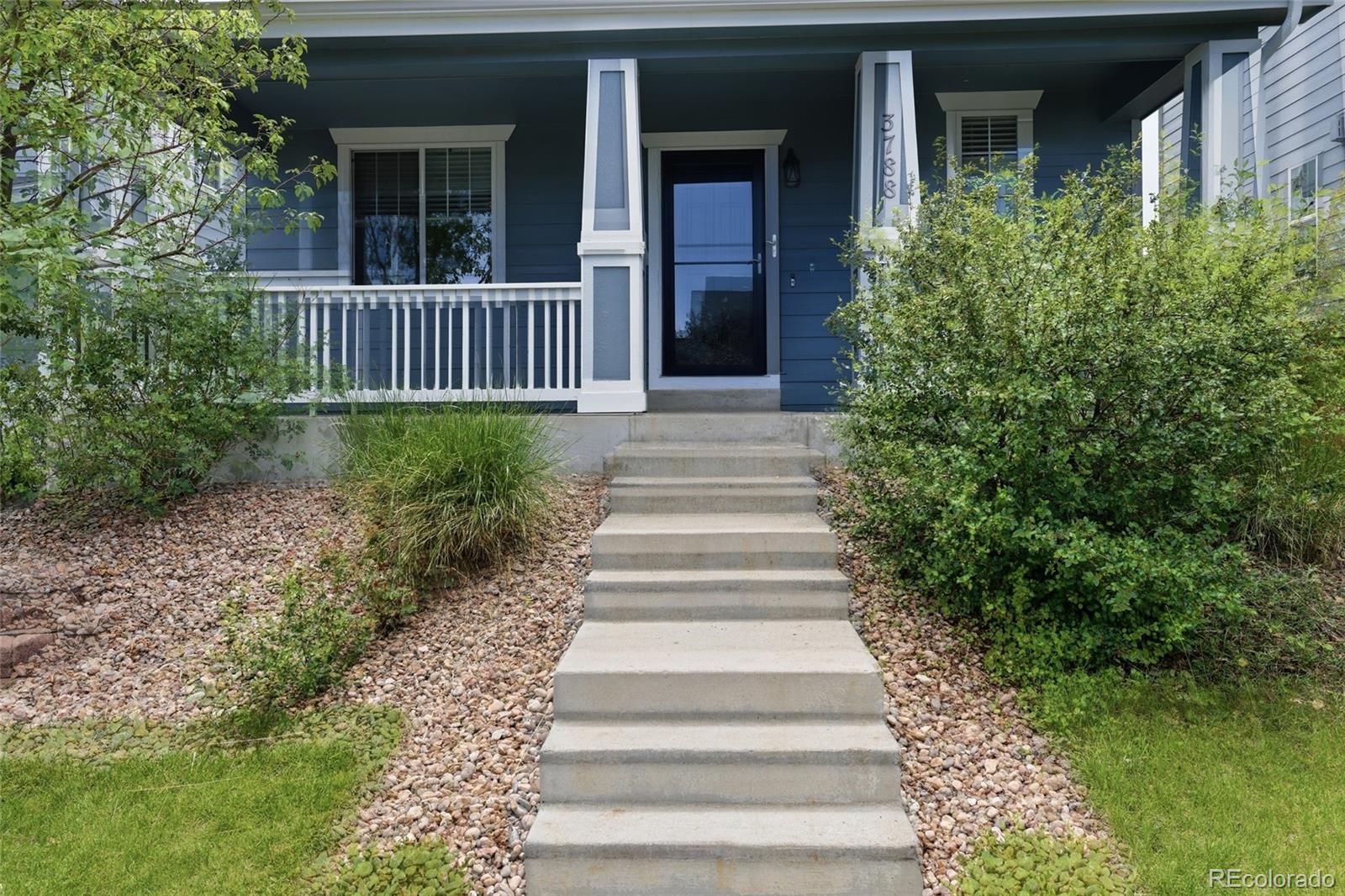 MLS Image #2 for 3788  cadence drive,castle rock, Colorado