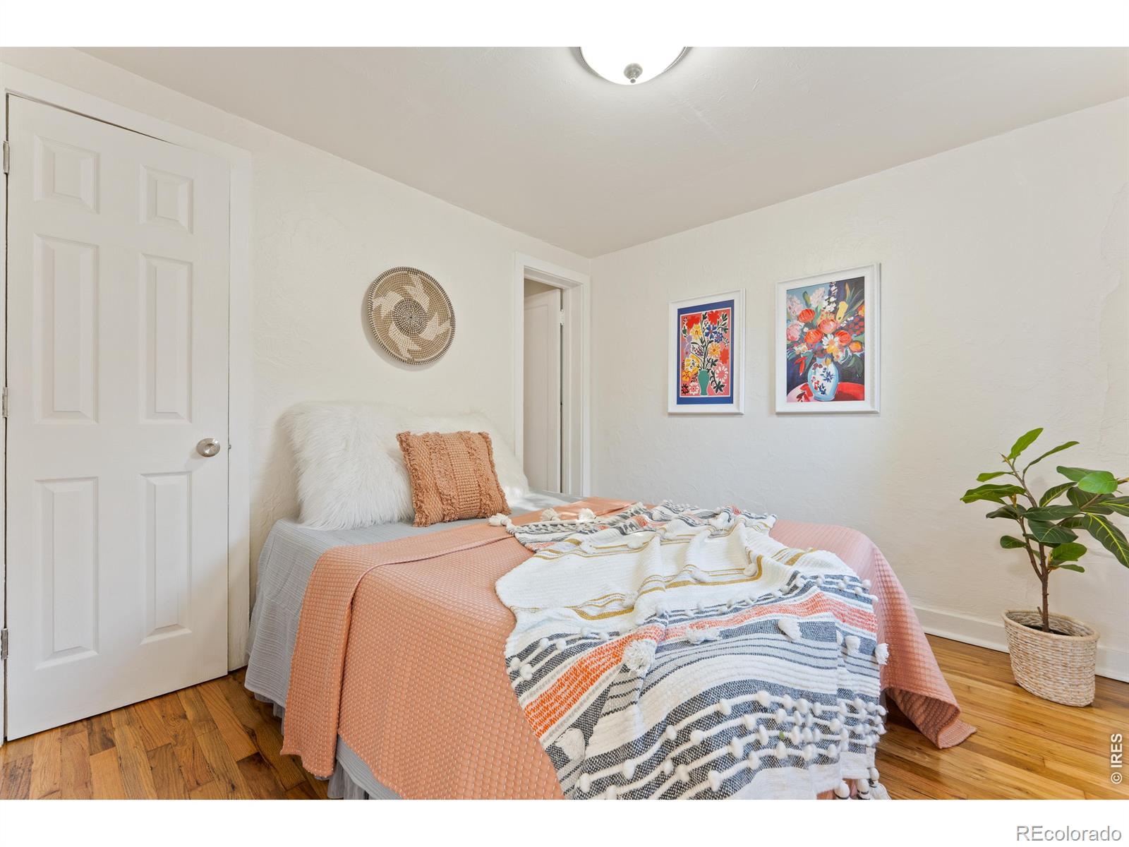 MLS Image #11 for 2028  laporte avenue,fort collins, Colorado