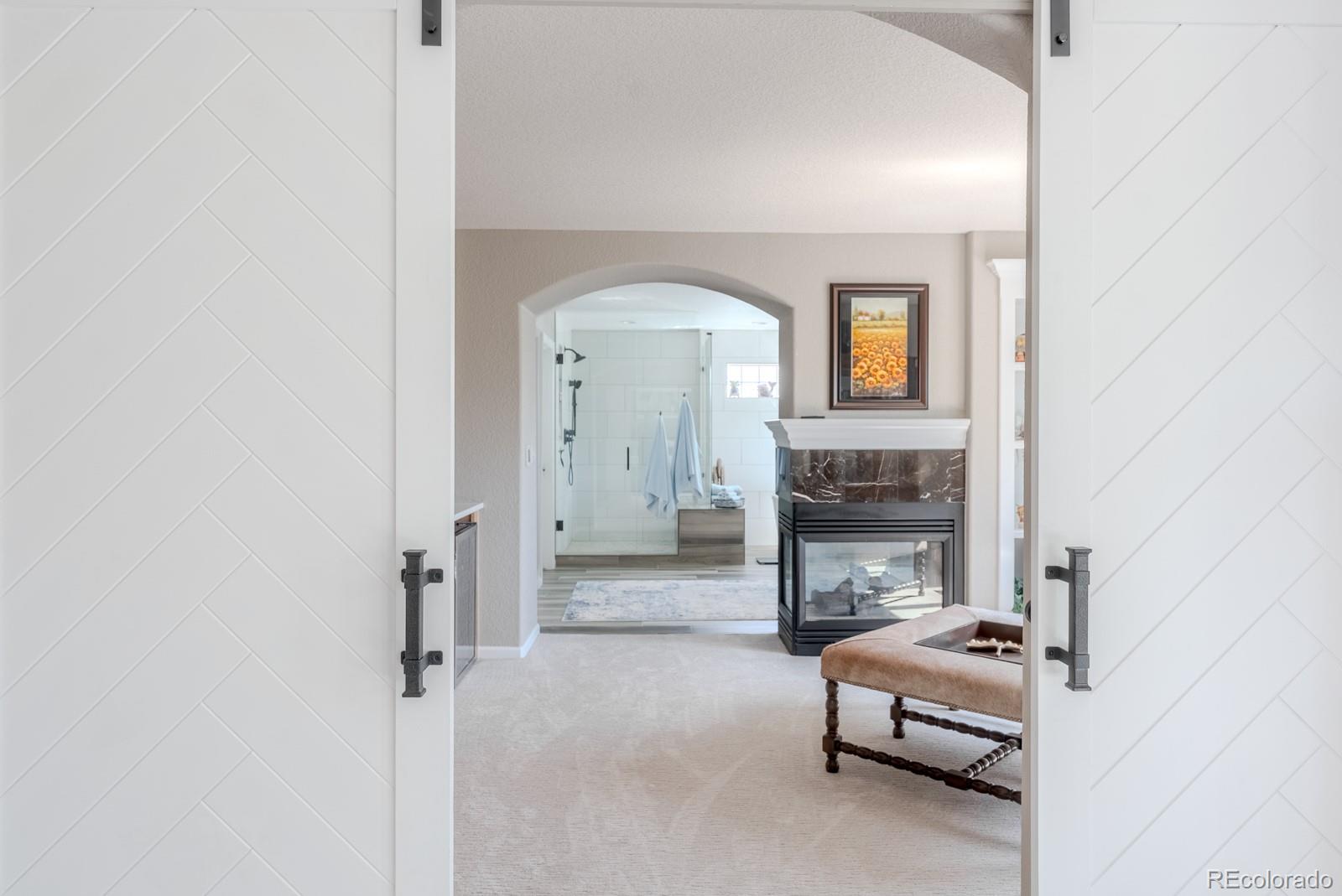 MLS Image #19 for 6090 s mobile street,centennial, Colorado