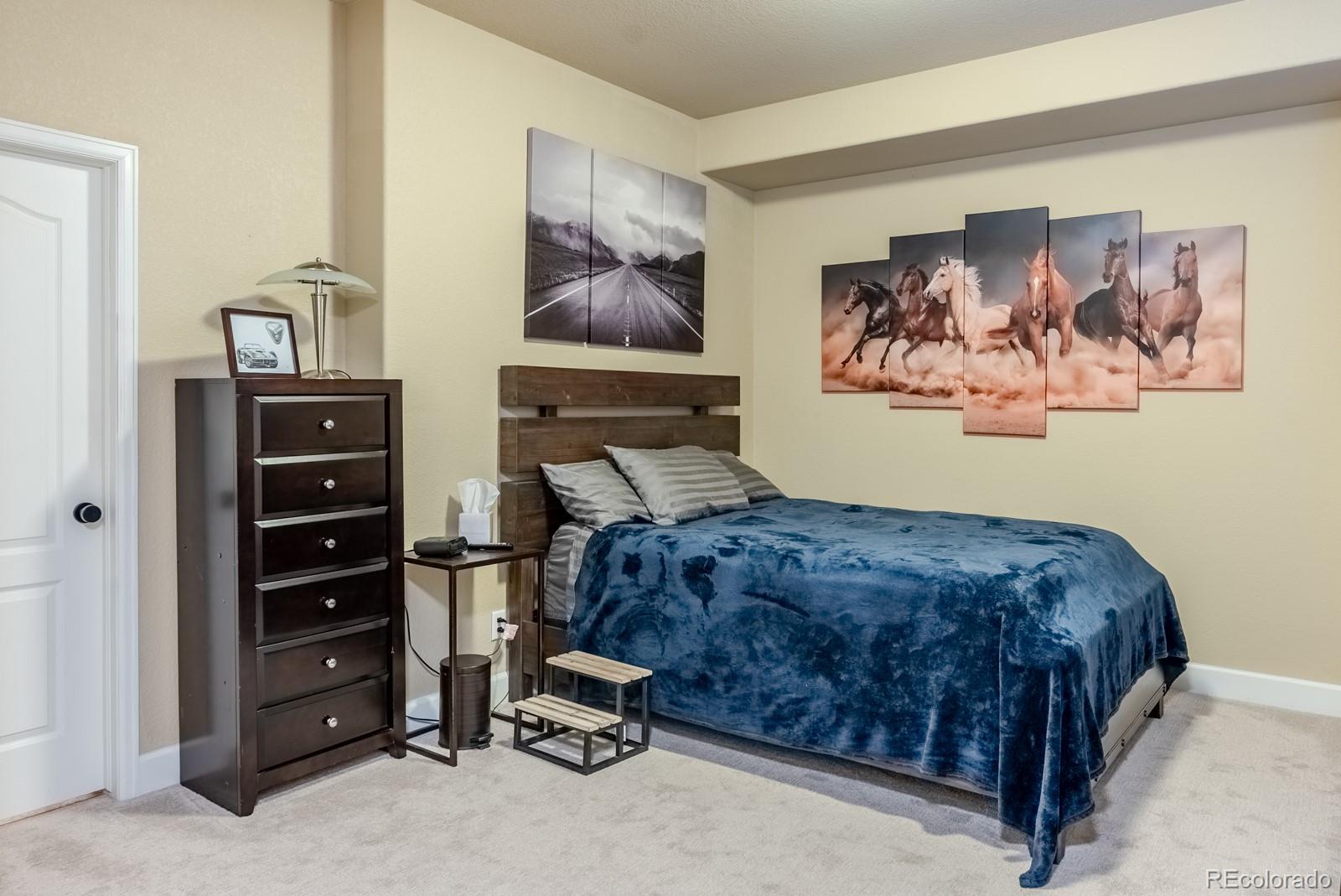 MLS Image #28 for 6090 s mobile street,centennial, Colorado