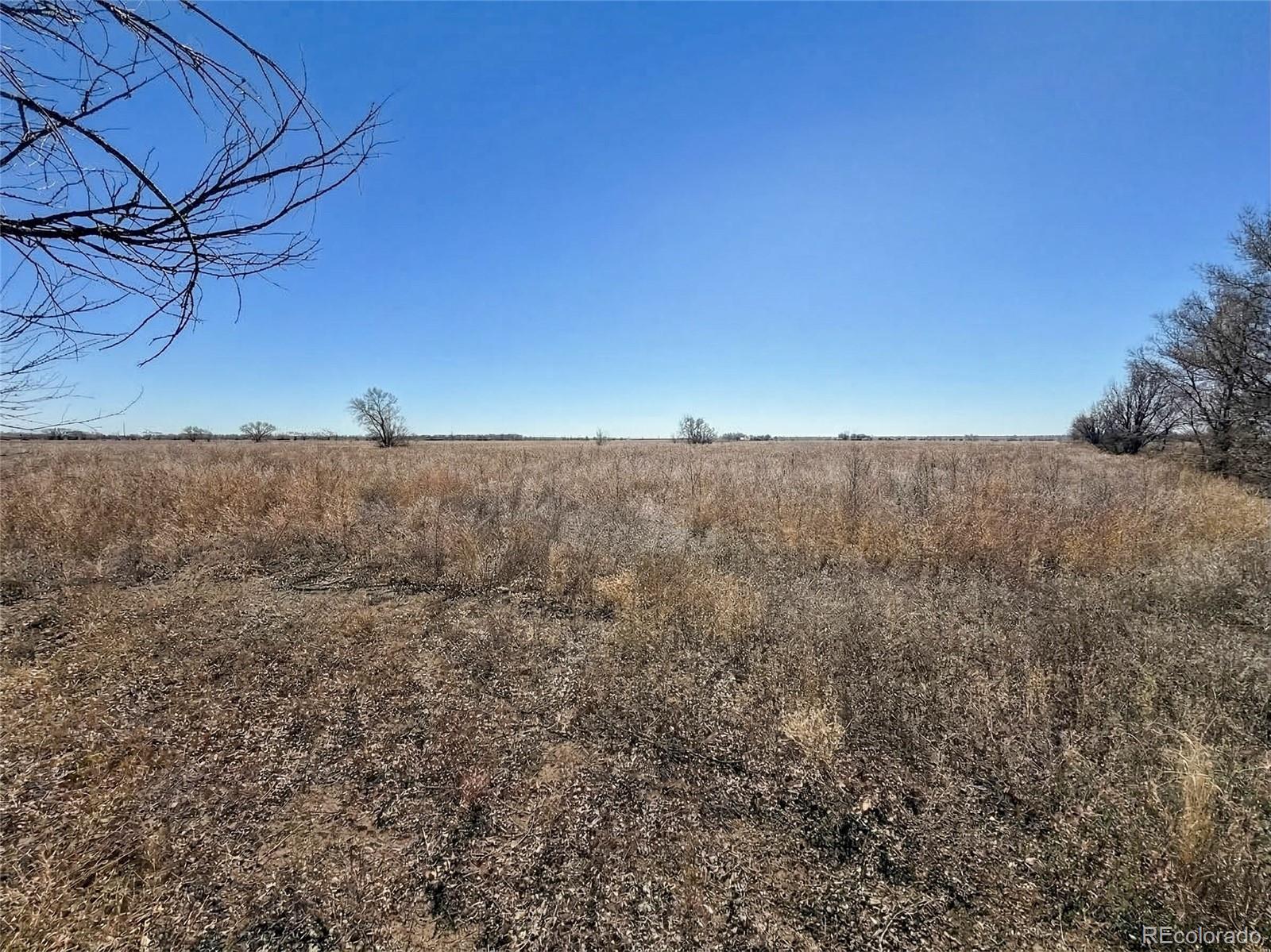 MLS Image #27 for 9264 w state highway 96 highway,olney springs, Colorado