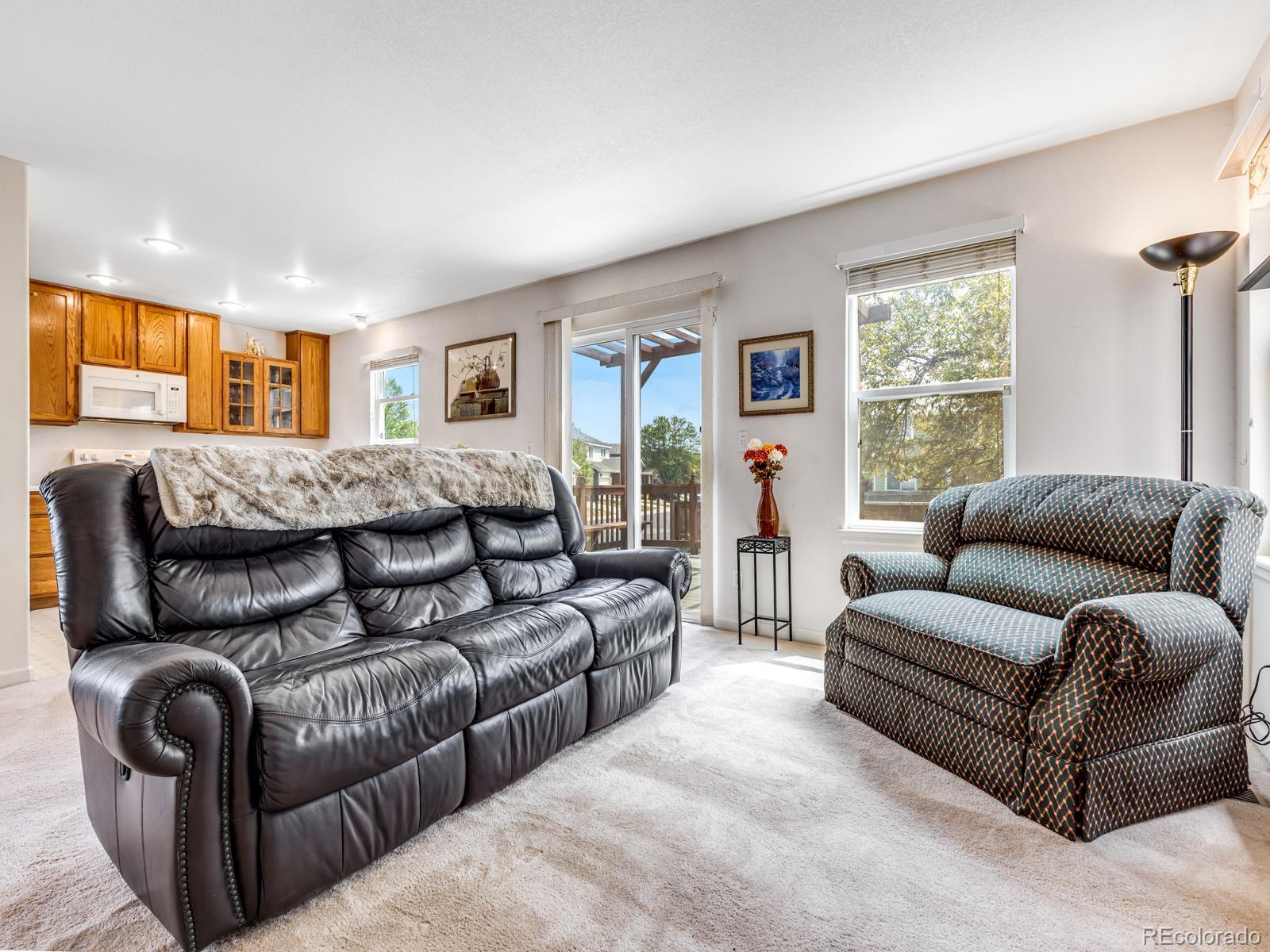 MLS Image #11 for 2744  bethlehem circle,broomfield, Colorado