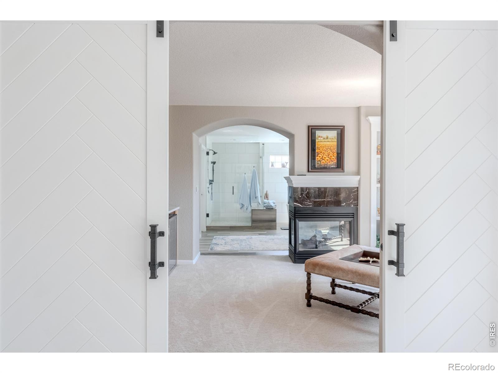 MLS Image #19 for 6090 s mobile street,centennial, Colorado