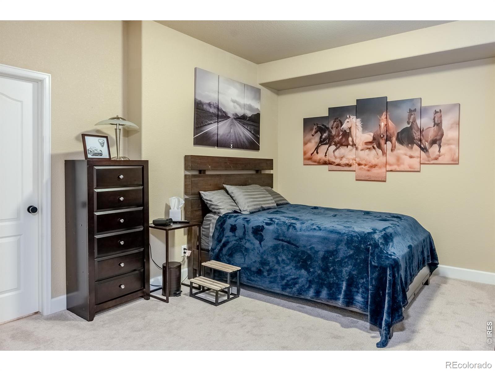MLS Image #28 for 6090 s mobile street,centennial, Colorado