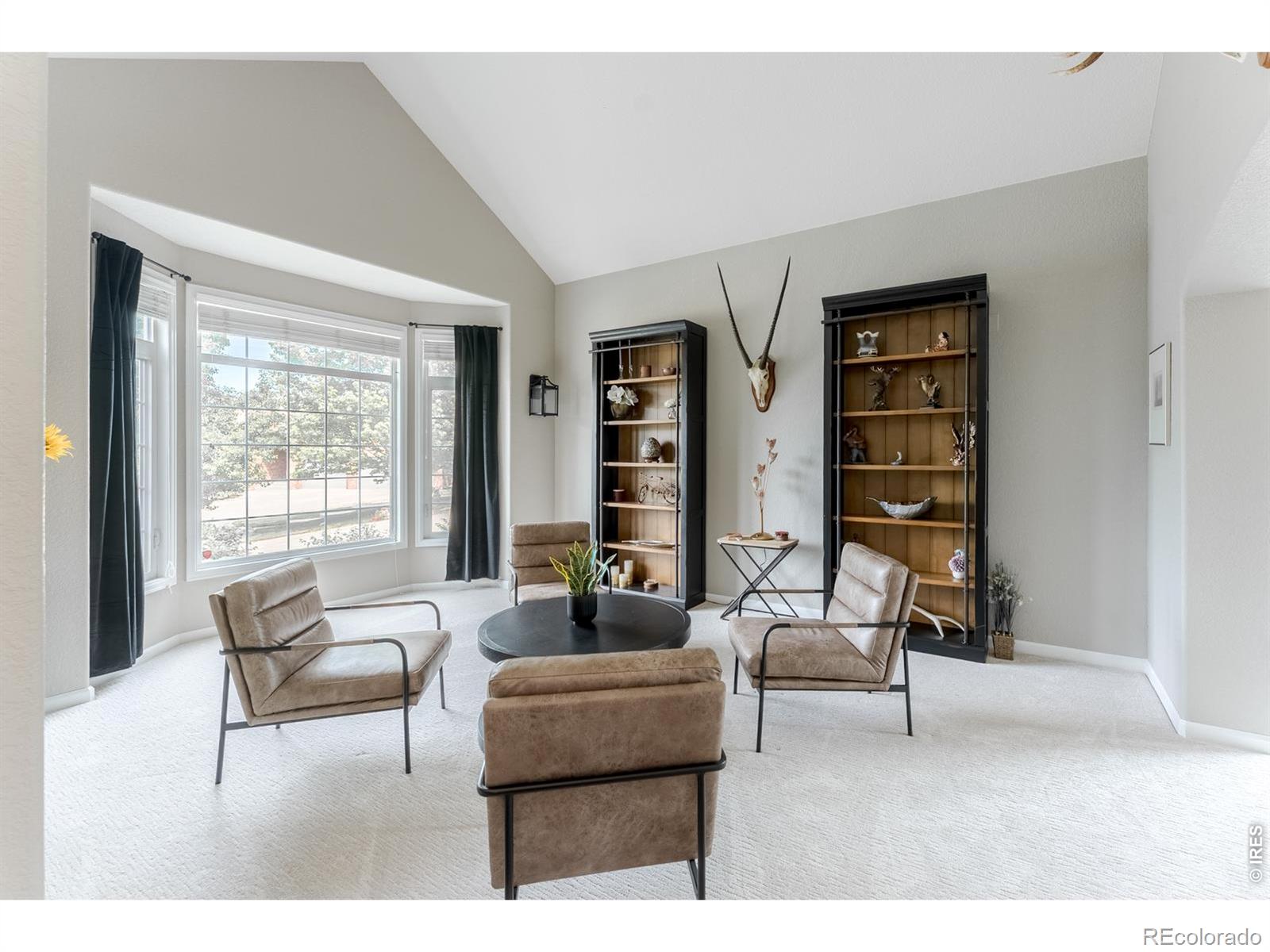 MLS Image #4 for 6090 s mobile street,centennial, Colorado