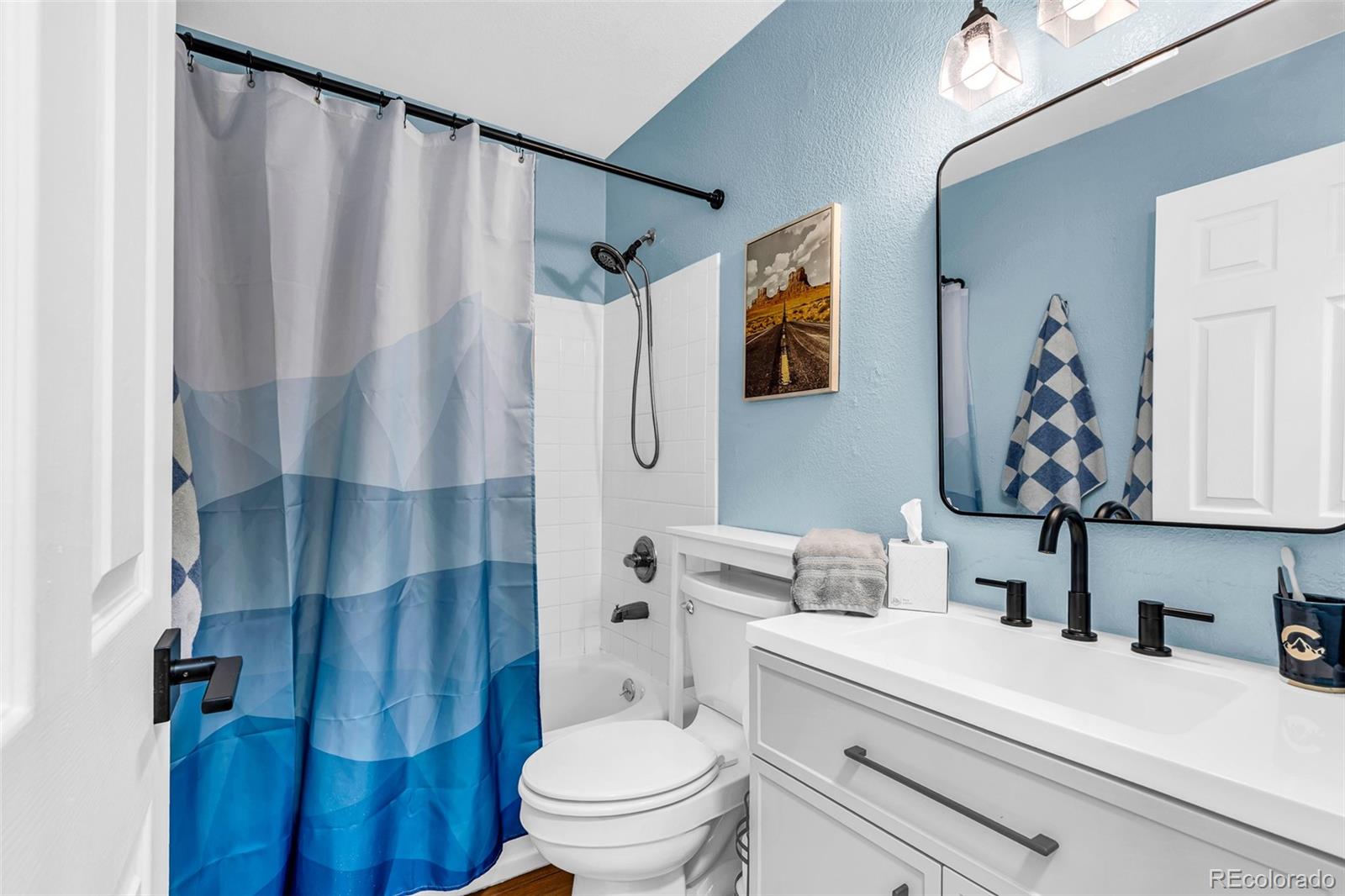 MLS Image #18 for 386  prunes place,fairplay, Colorado