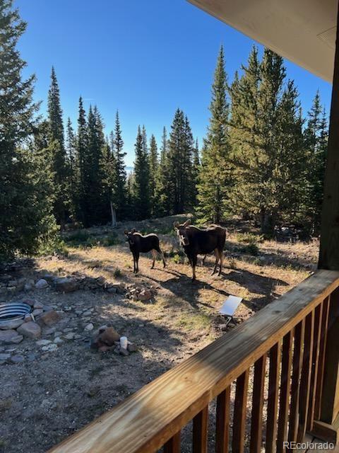 MLS Image #25 for 386  prunes place,fairplay, Colorado