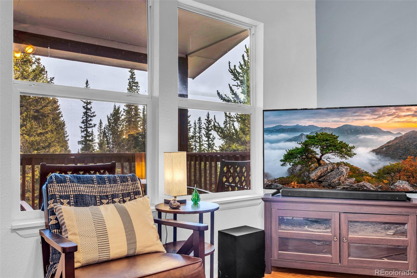 MLS Image #3 for 386  prunes place,fairplay, Colorado