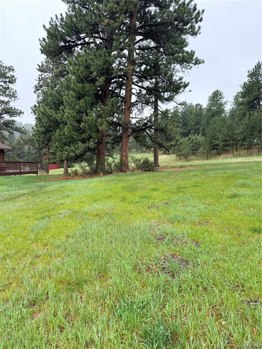 MLS Image #35 for 7013  silverhorn drive,evergreen, Colorado