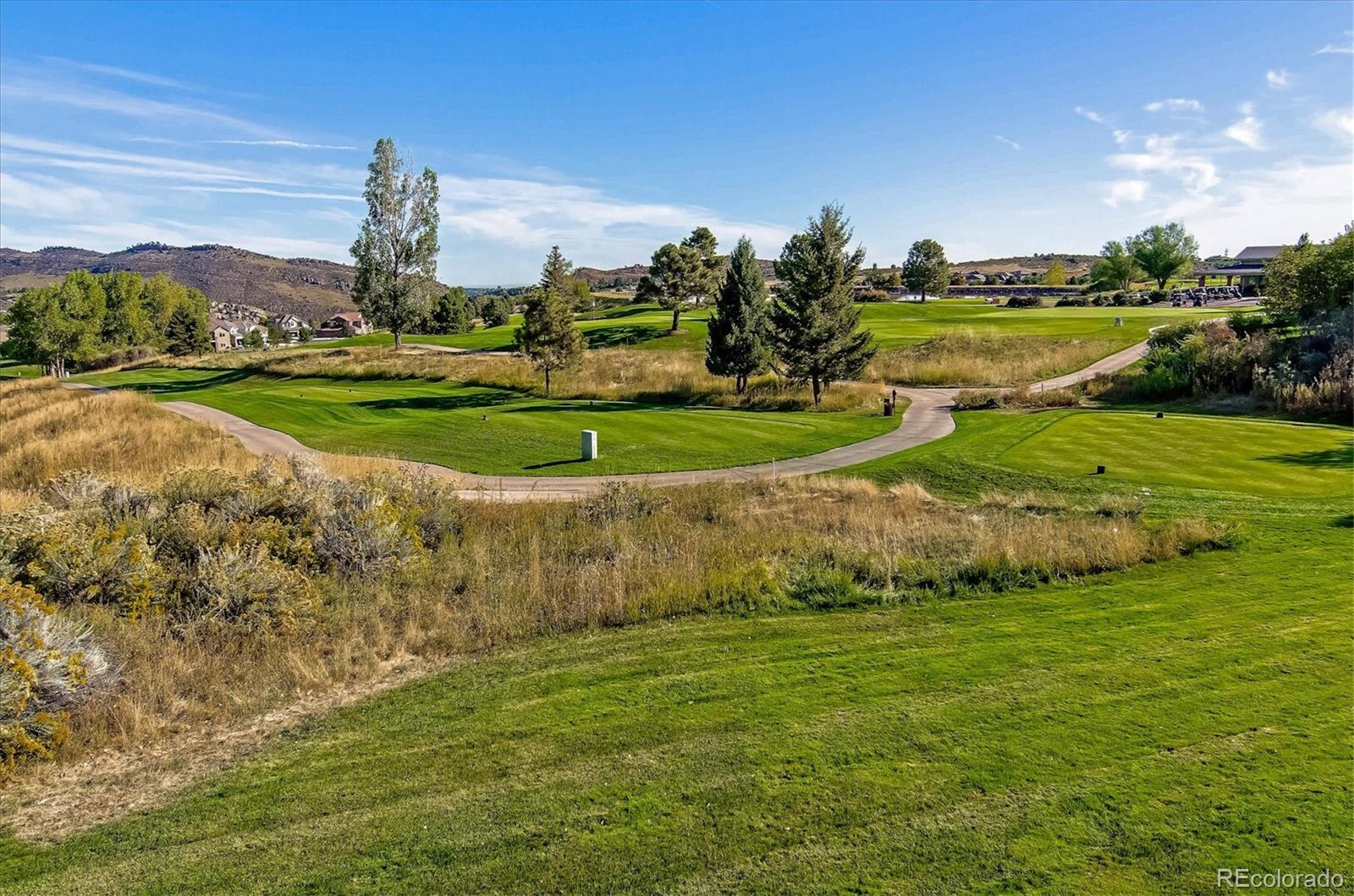 MLS Image #41 for 15896  double eagle drive,morrison, Colorado