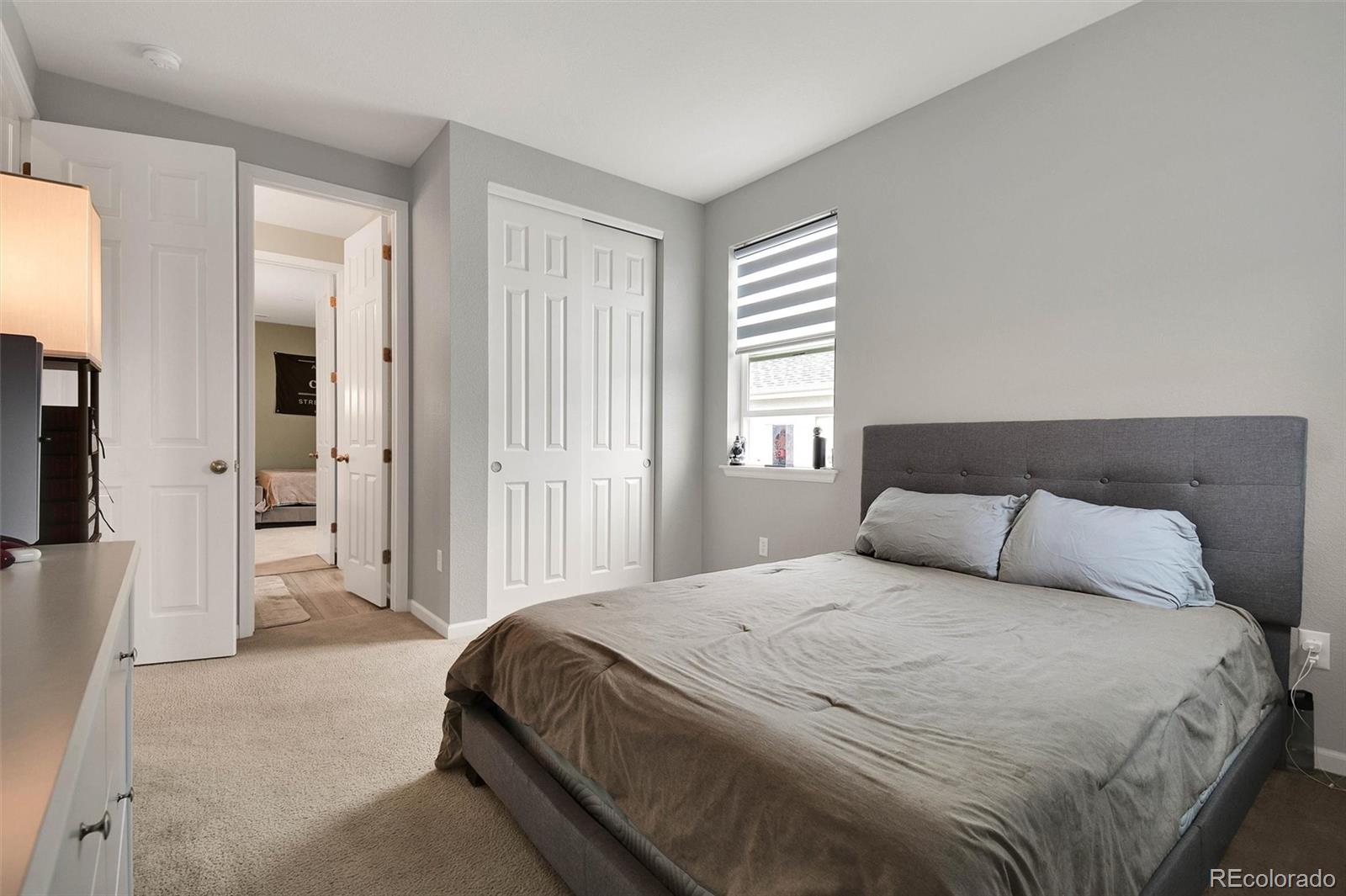 MLS Image #27 for 881  flora view drive,erie, Colorado