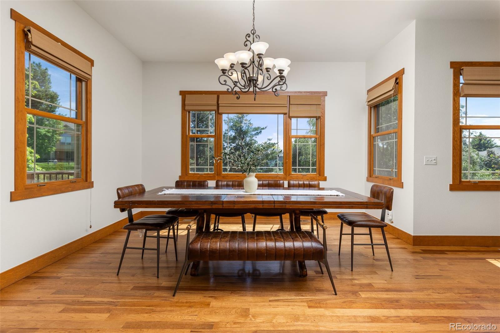 MLS Image #11 for 1190  trails end court,windsor, Colorado