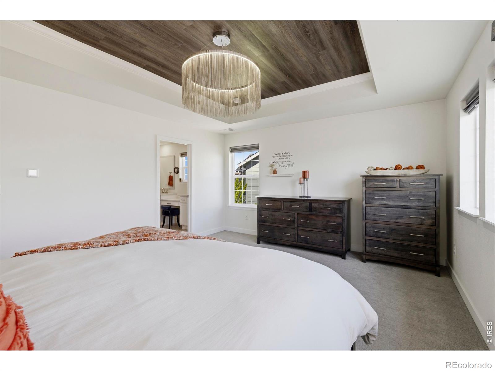 MLS Image #22 for 2910  water view street,timnath, Colorado