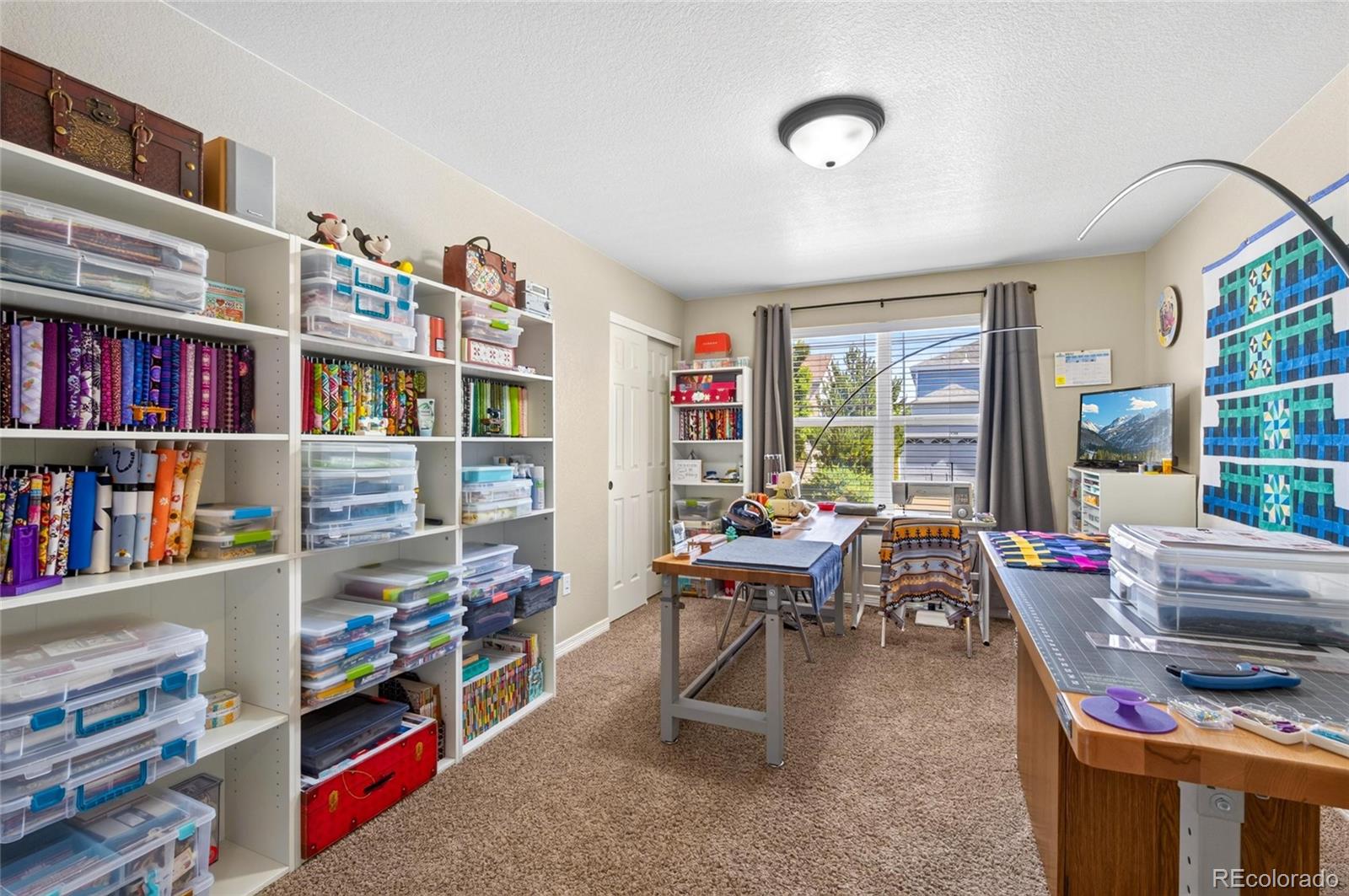 MLS Image #18 for 8711  tack street,longmont, Colorado