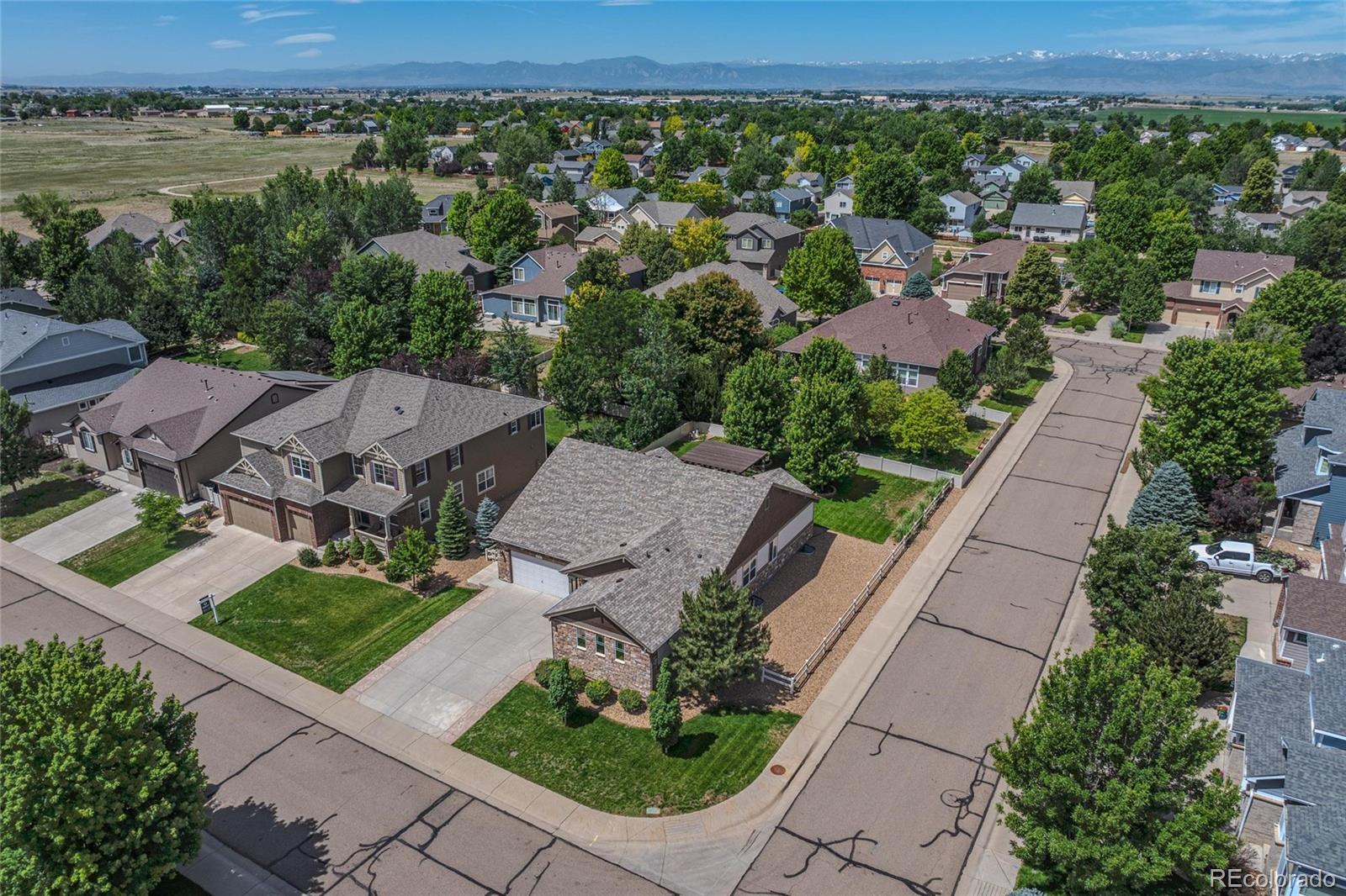 MLS Image #41 for 8711  tack street,longmont, Colorado