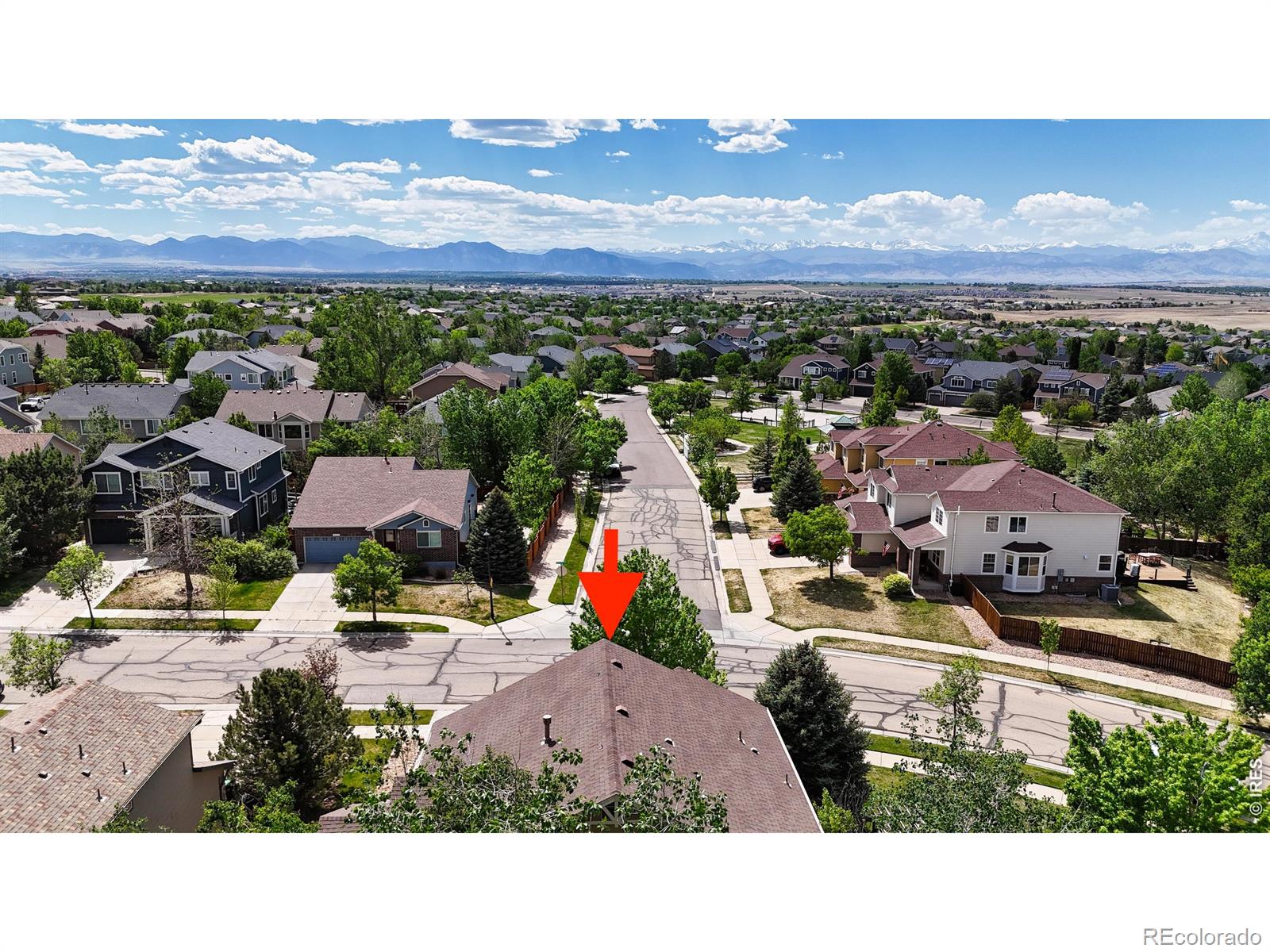 MLS Image #2 for 2241  ponderosa place,erie, Colorado