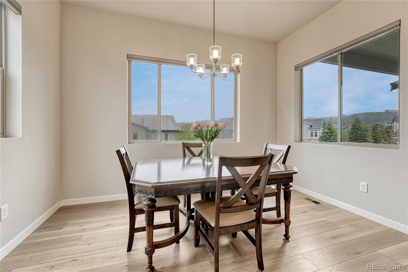 MLS Image #14 for 4445  mesa top drive,monument, Colorado