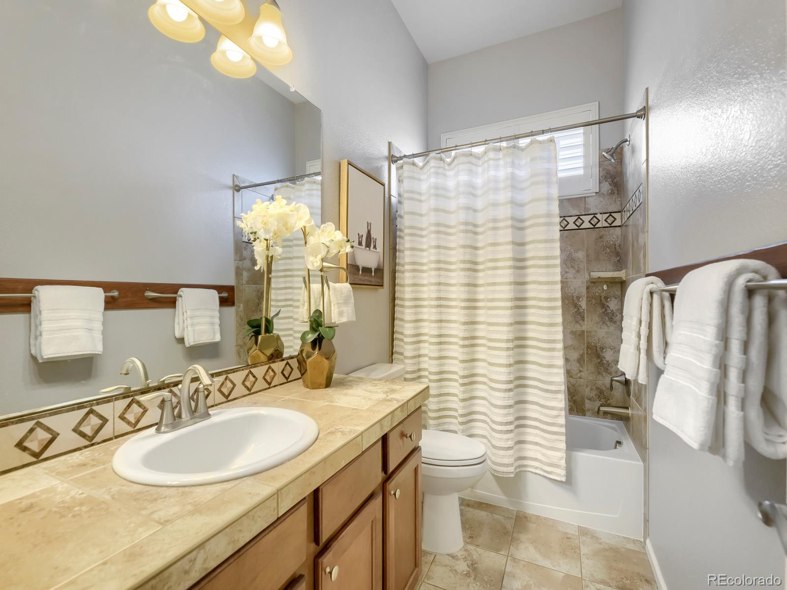 MLS Image #15 for 15625  carob circle,parker, Colorado
