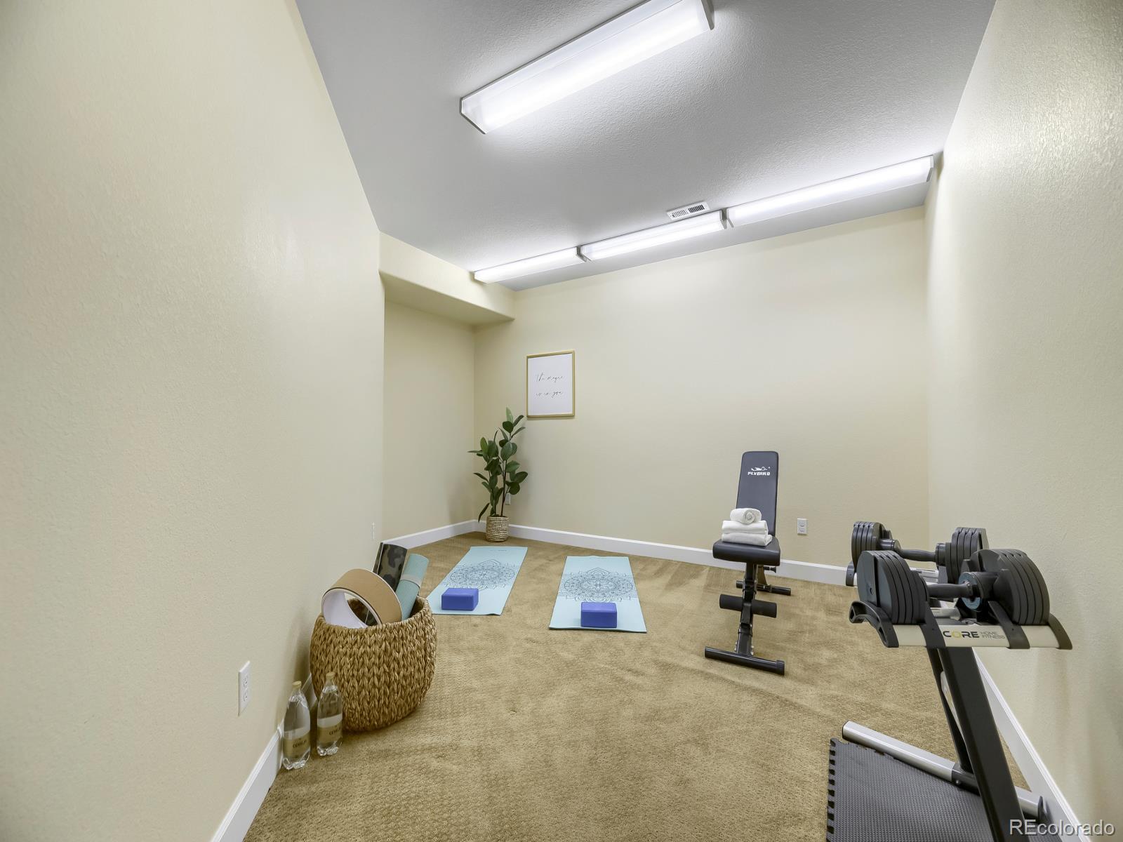 MLS Image #27 for 15625  carob circle,parker, Colorado