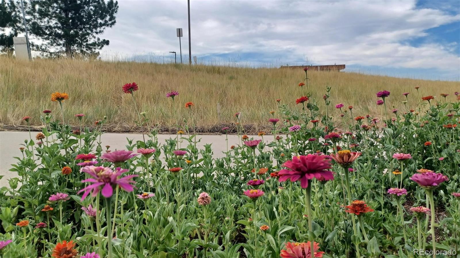 MLS Image #45 for 7465 e 157th place,thornton, Colorado