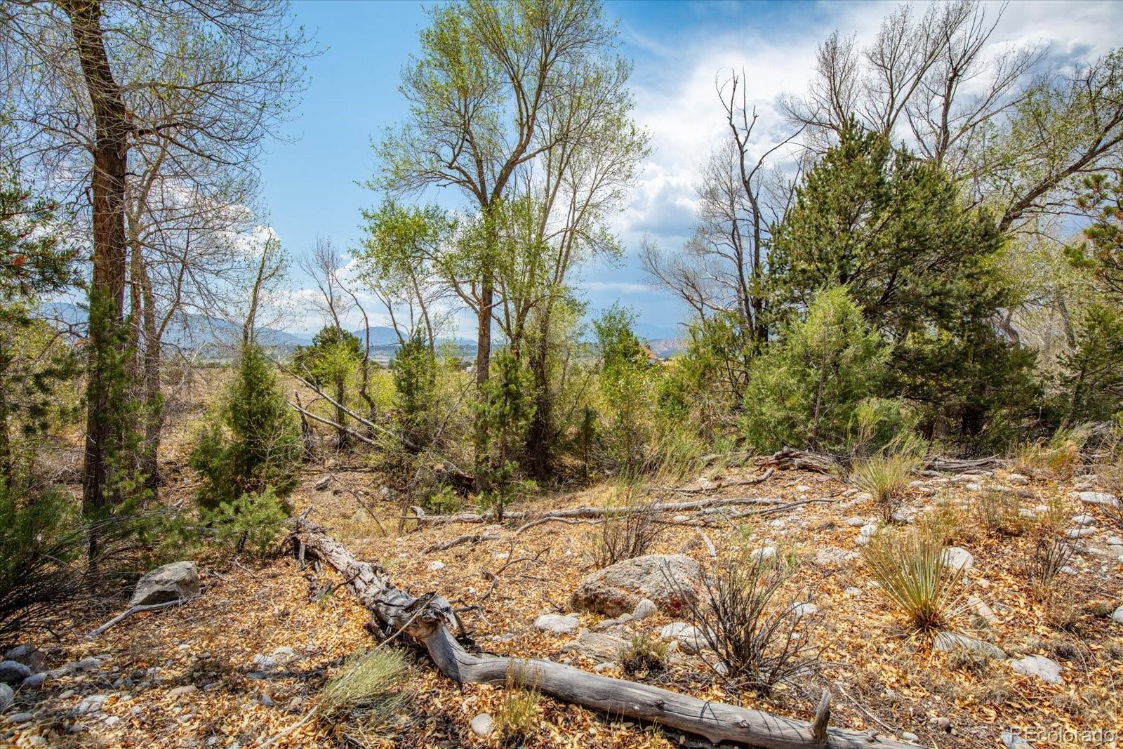 MLS Image #44 for 10190 w county road 190 ,salida, Colorado