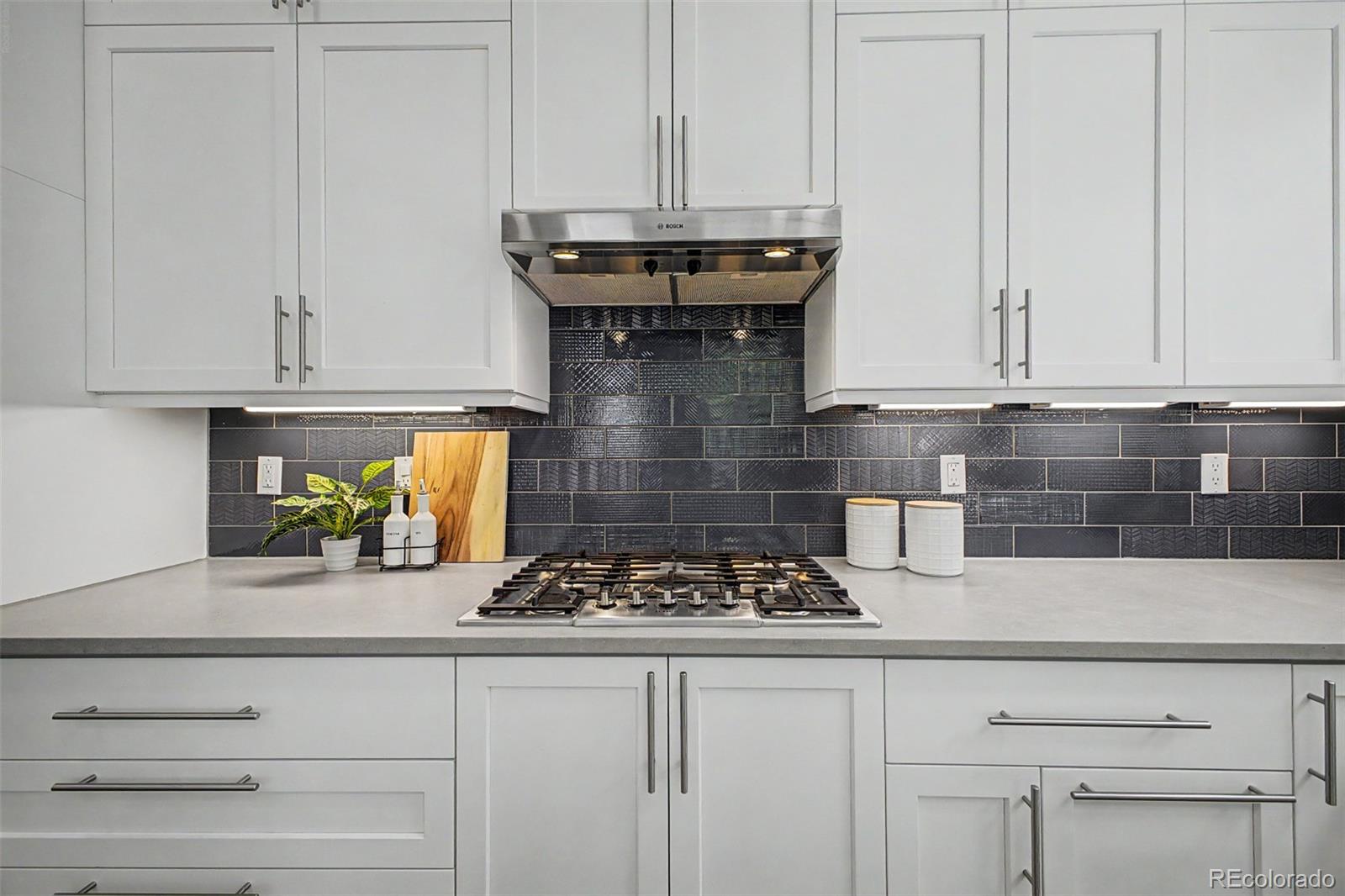 MLS Image #11 for 2741  willow street,denver, Colorado