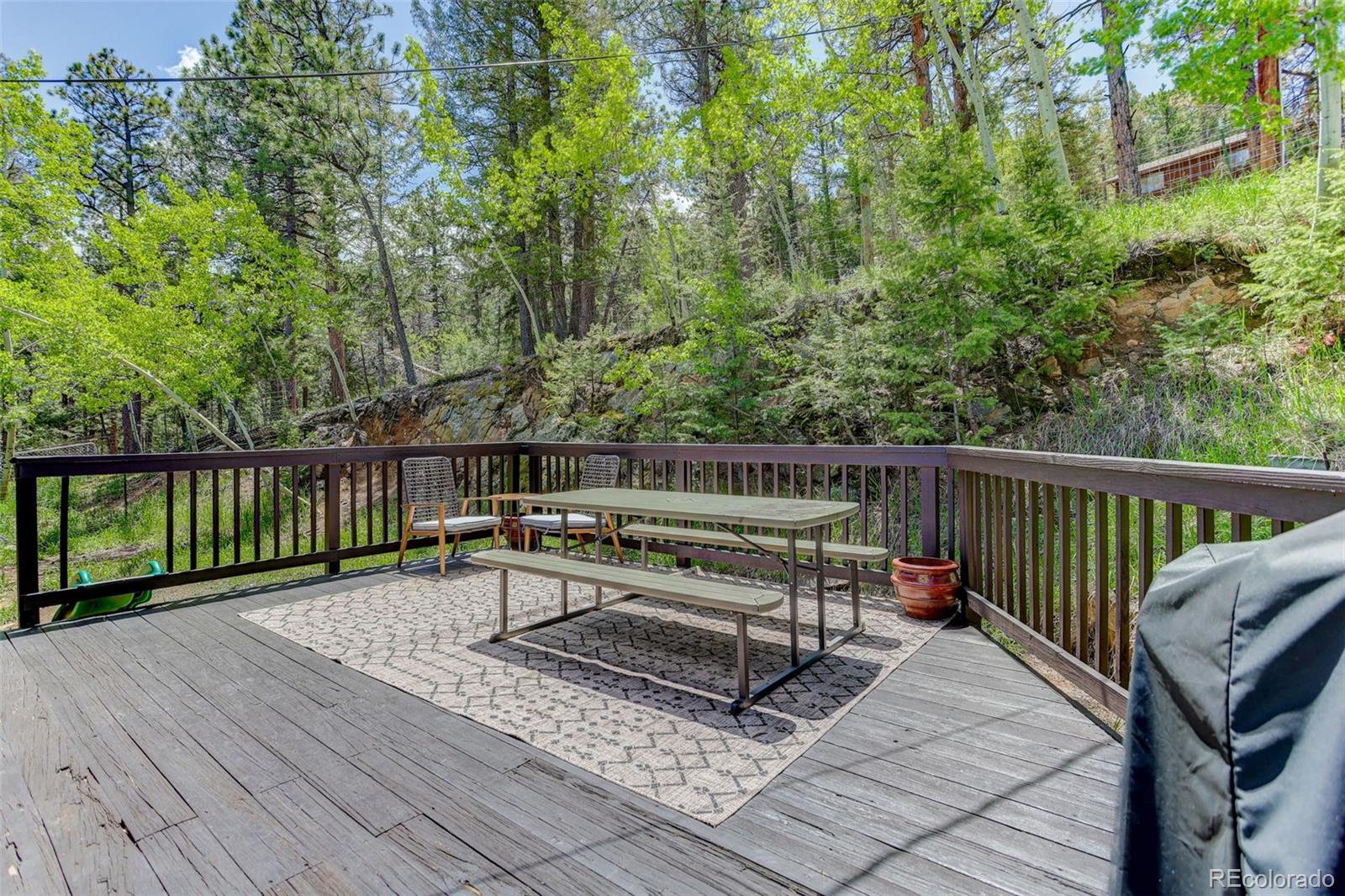 MLS Image #10 for 539 s random road,bailey, Colorado