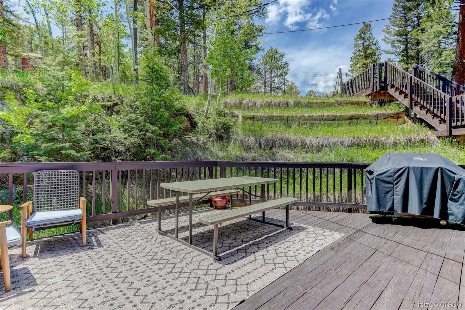 MLS Image #11 for 539 s random road,bailey, Colorado