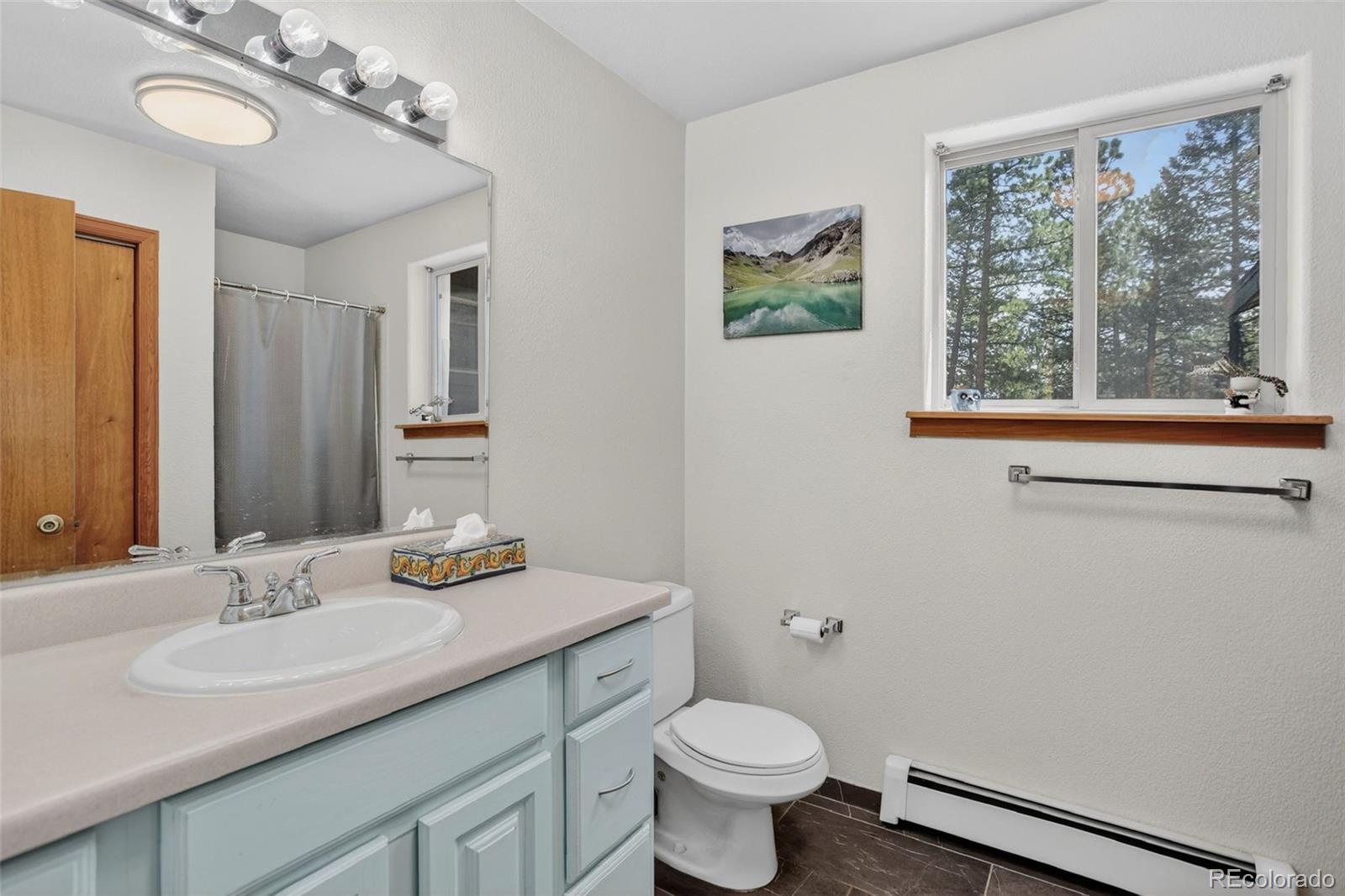 MLS Image #19 for 539 s random road,bailey, Colorado