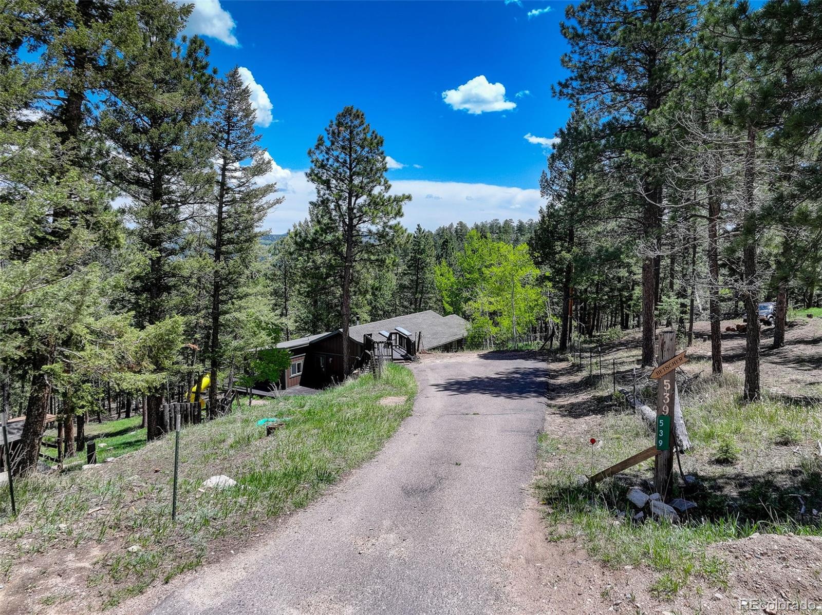 MLS Image #2 for 539 s random road,bailey, Colorado