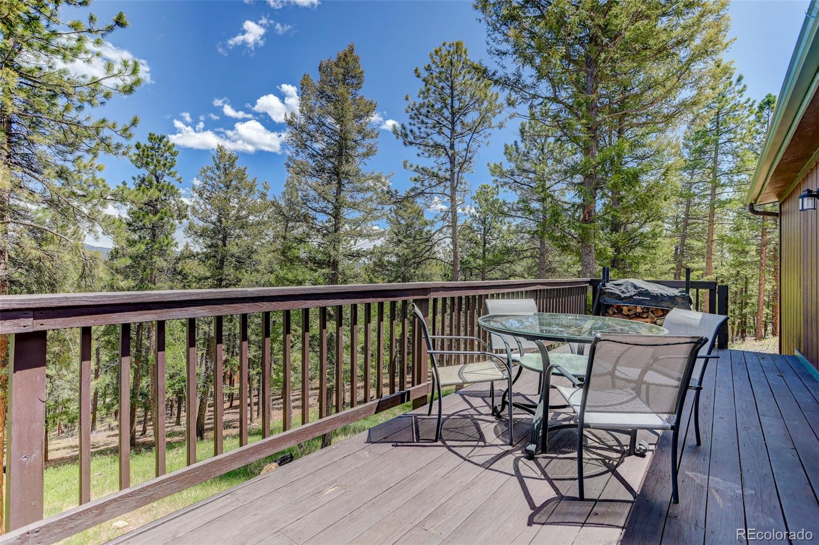 MLS Image #23 for 539 s random road,bailey, Colorado