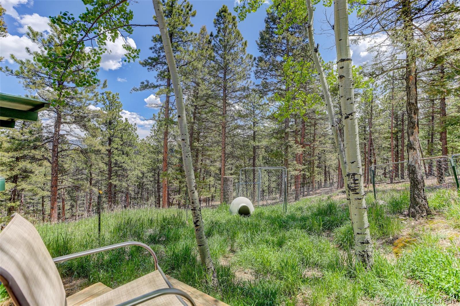 MLS Image #26 for 539 s random road,bailey, Colorado