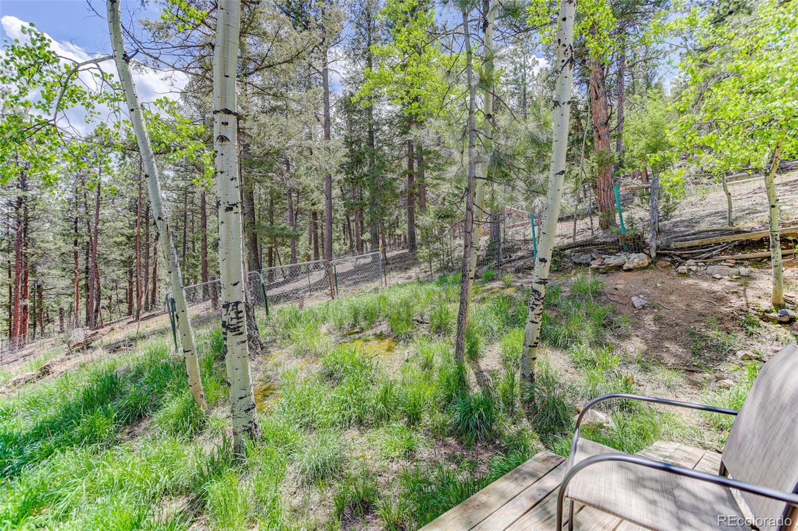 MLS Image #27 for 539 s random road,bailey, Colorado