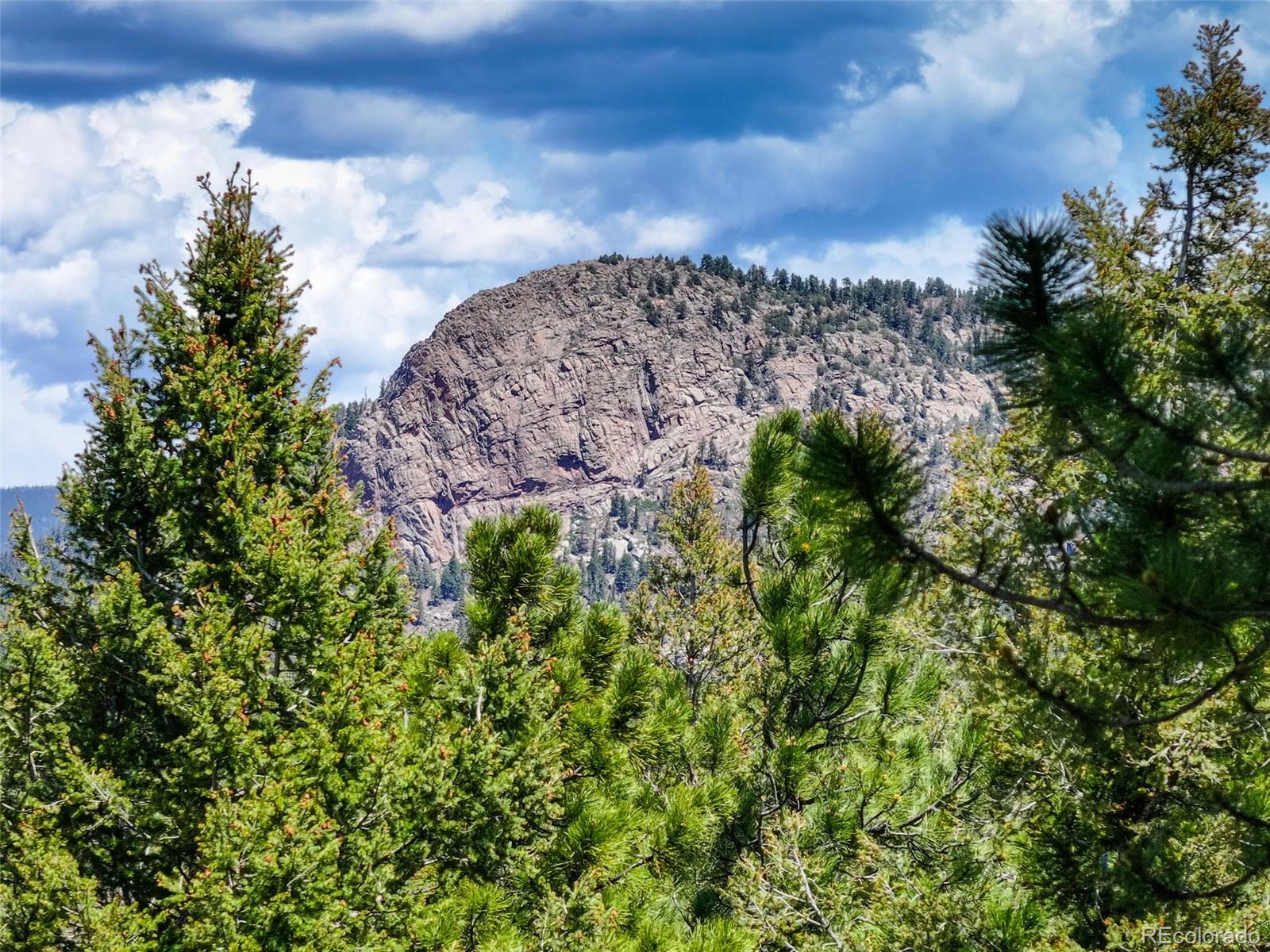 MLS Image #35 for 539 s random road,bailey, Colorado