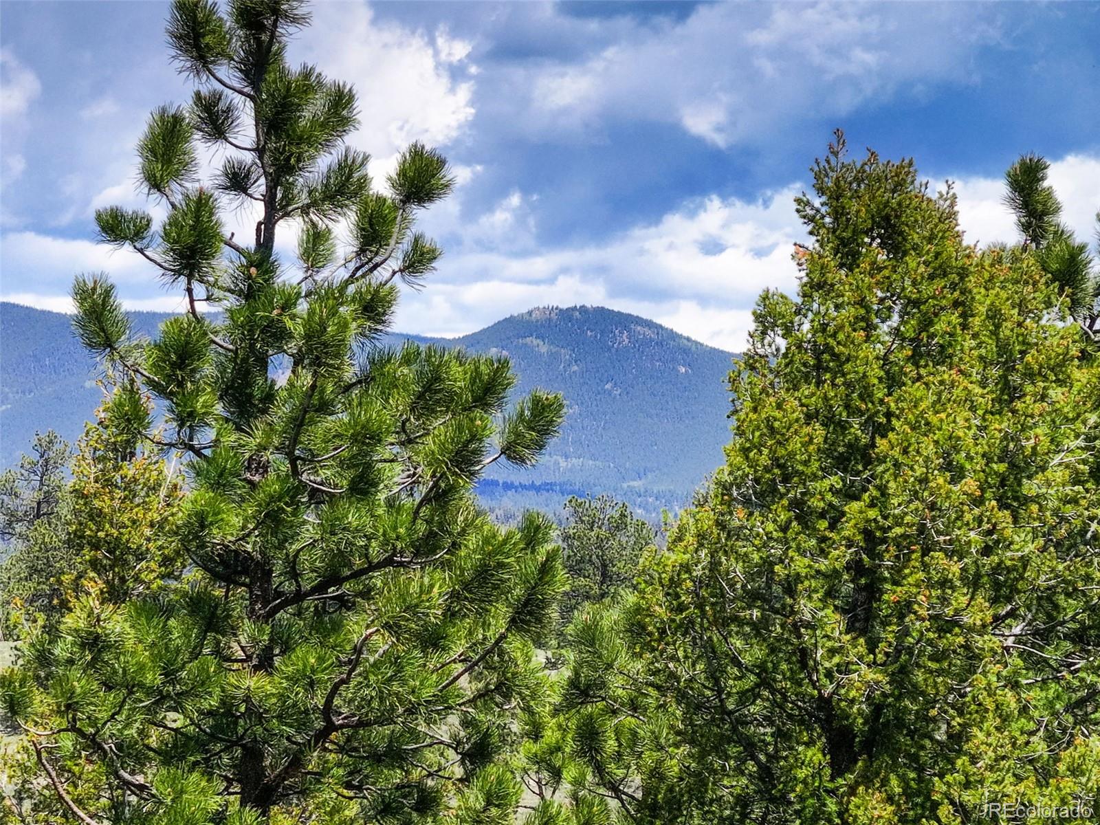 MLS Image #36 for 539 s random road,bailey, Colorado