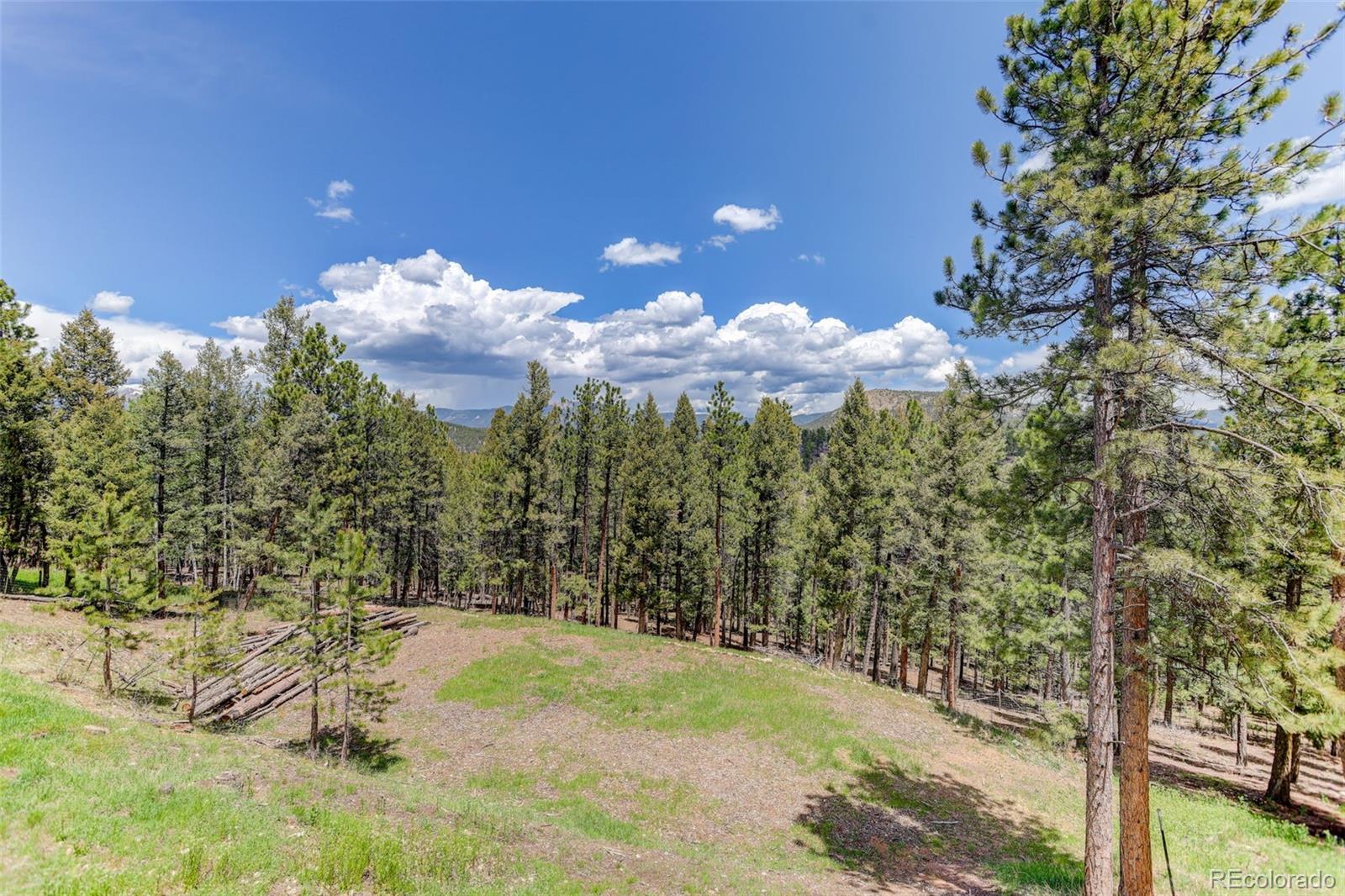 MLS Image #37 for 539 s random road,bailey, Colorado