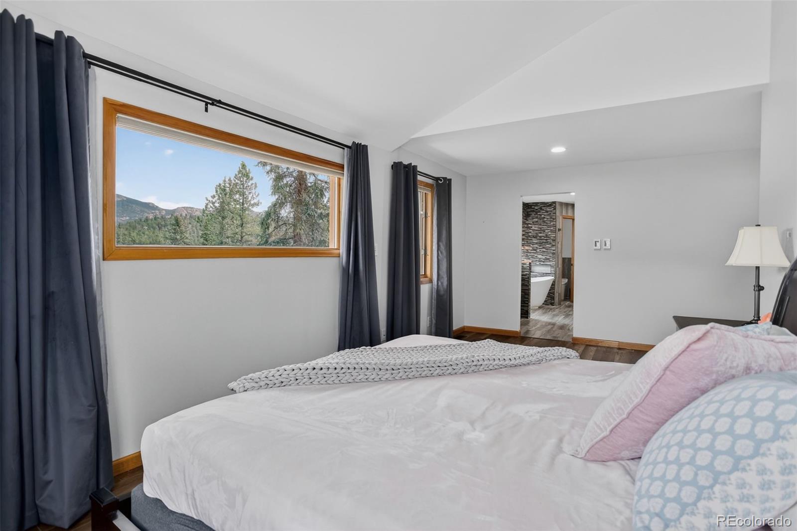 MLS Image #21 for 136  nova lane,pine, Colorado