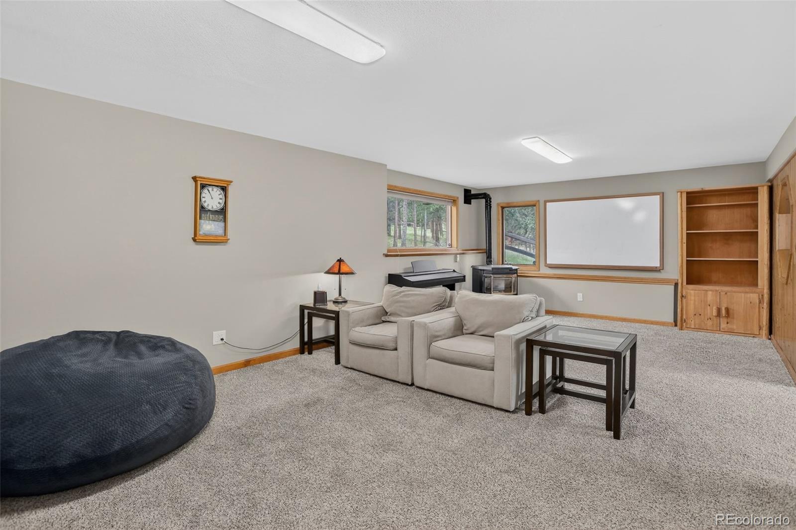 MLS Image #38 for 136  nova lane,pine, Colorado